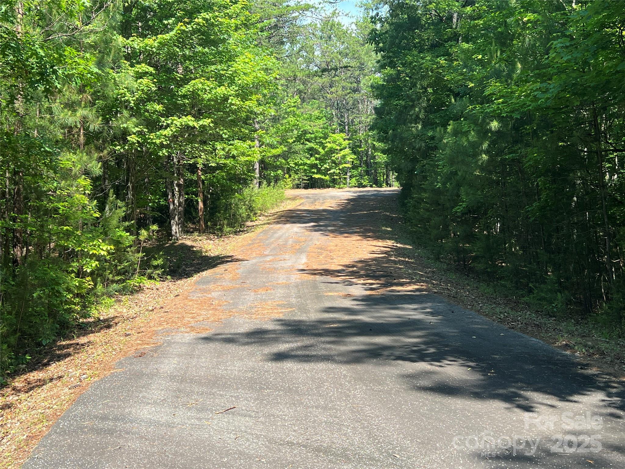 Lot at 0 South Mountain Drive, Nebo, photo 6 of 31
