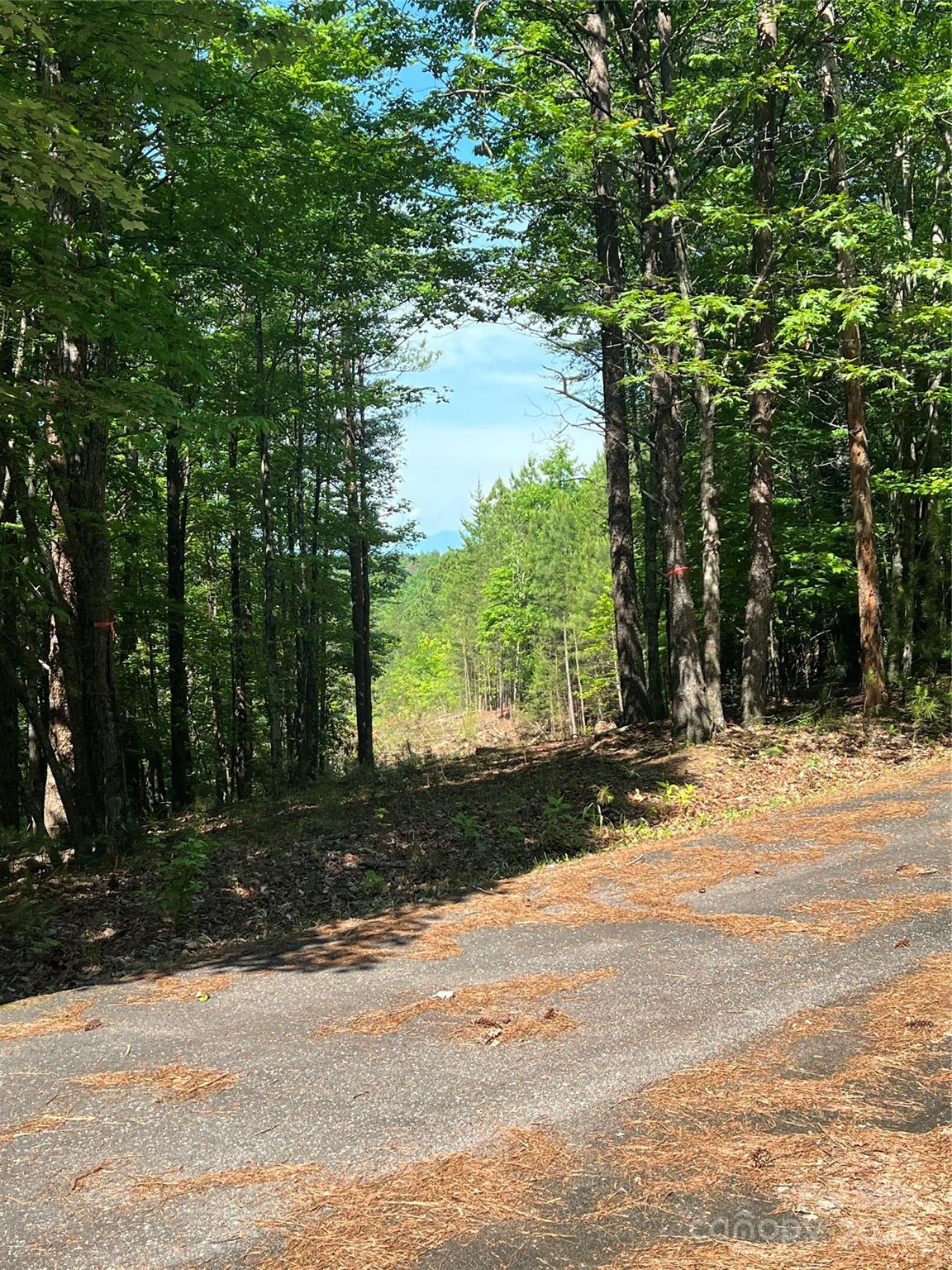 Lot at 0 South Mountain Drive, Nebo, photo 7 of 31