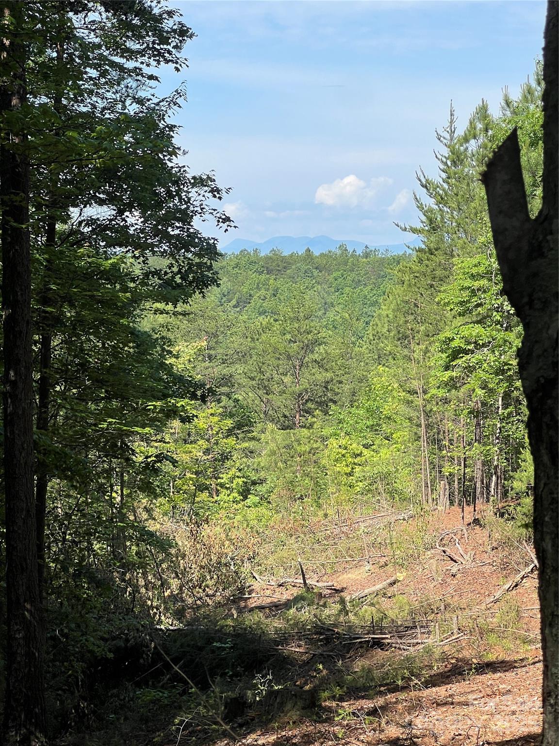 Lot at 0 South Mountain Drive, Nebo, photo 9 of 31