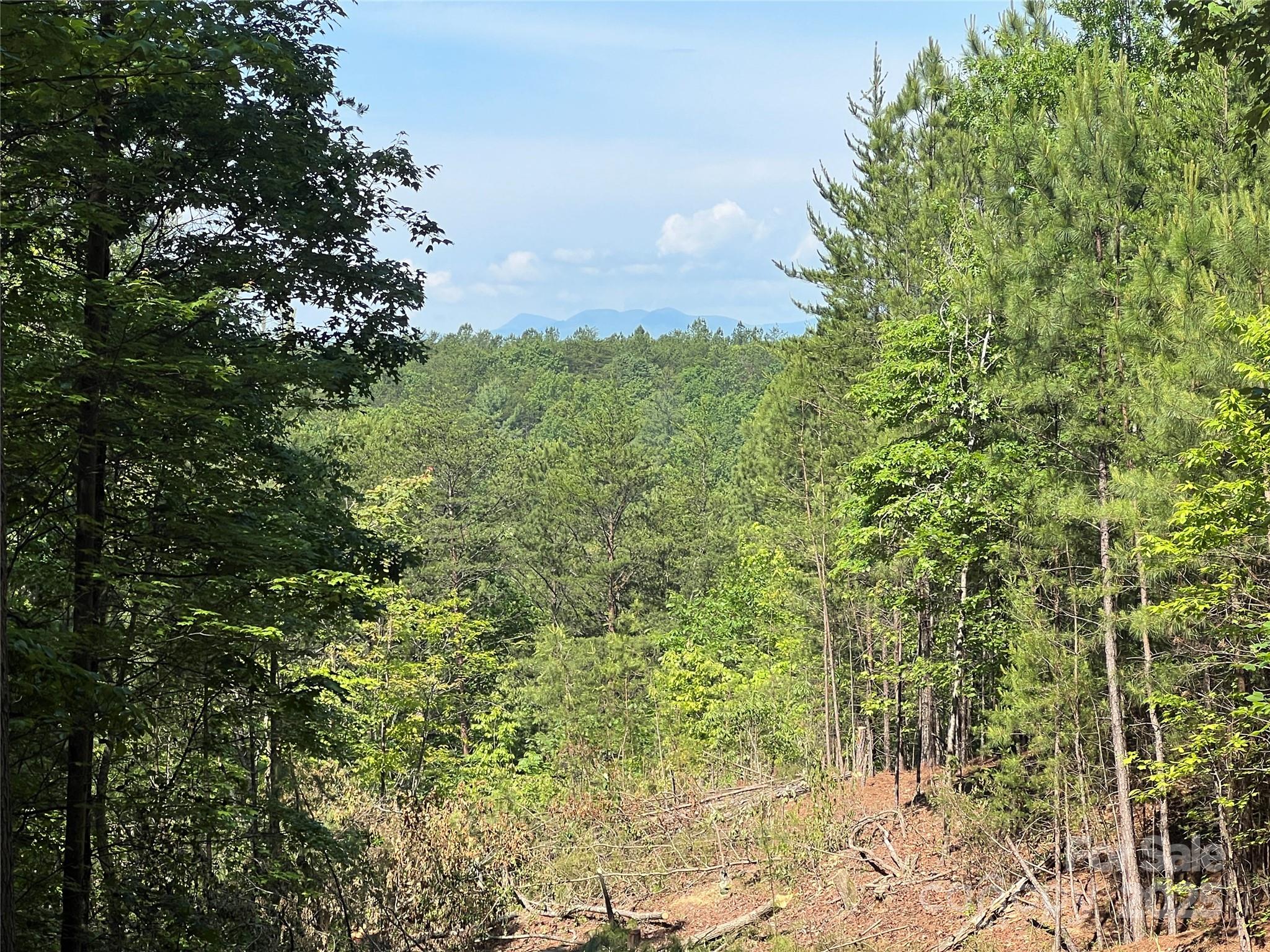 Lot at 0 South Mountain Drive, Nebo, photo 11 of 31