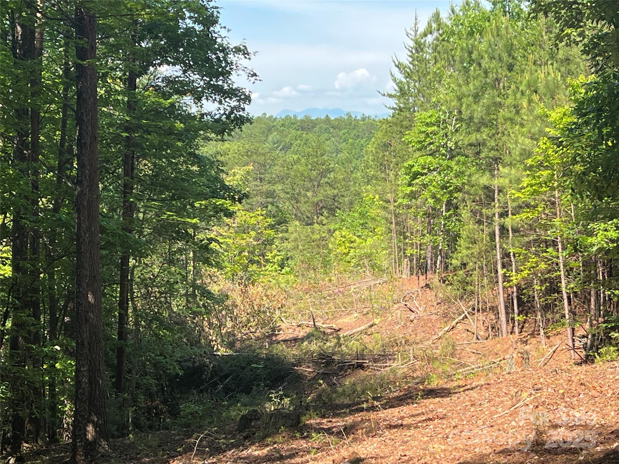 Lot at 0 South Mountain Drive, Nebo, photo 13 of 31