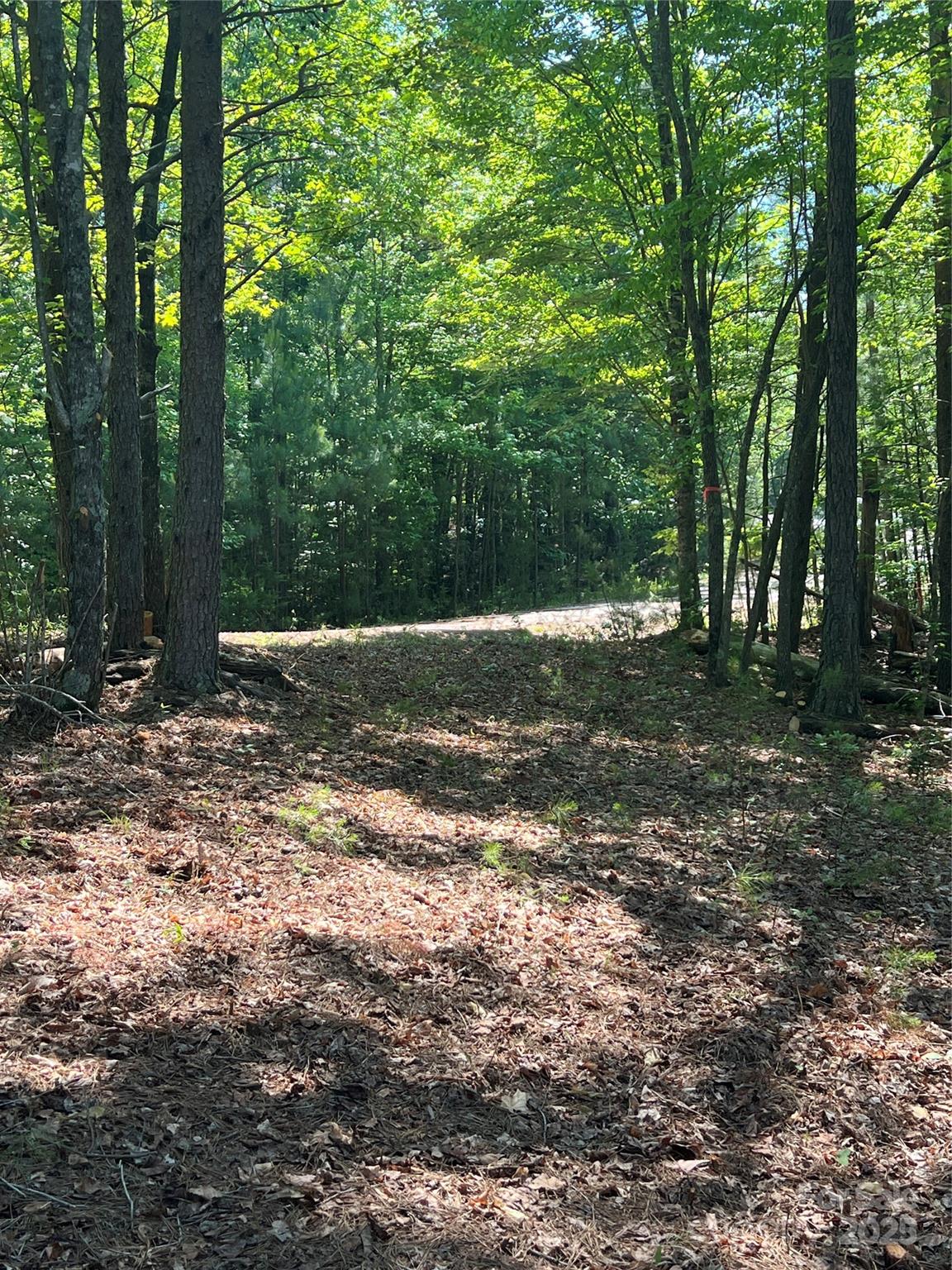 Lot at 0 South Mountain Drive, Nebo, photo 15 of 31
