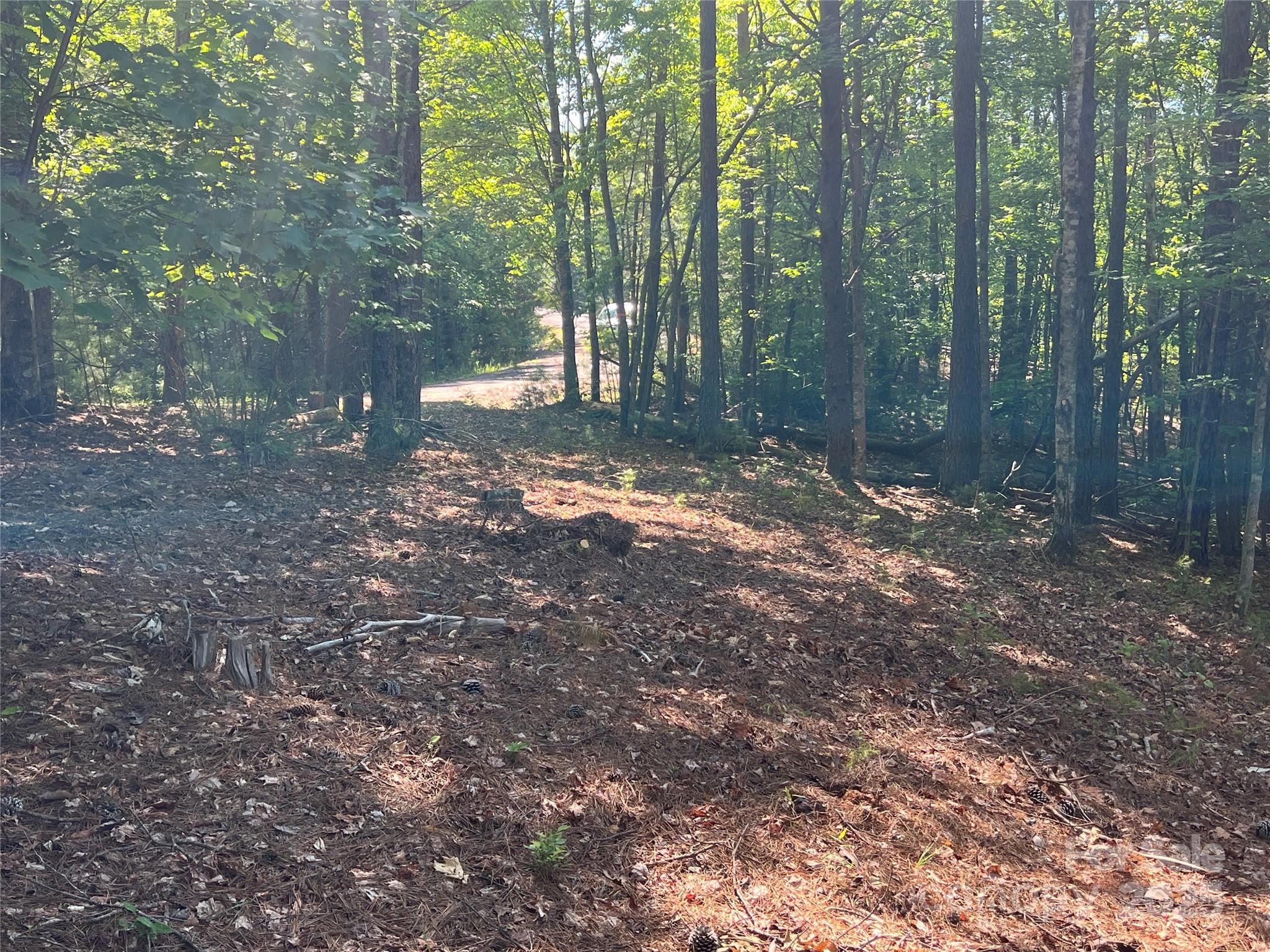 Lot at 0 South Mountain Drive, Nebo, photo 19 of 31