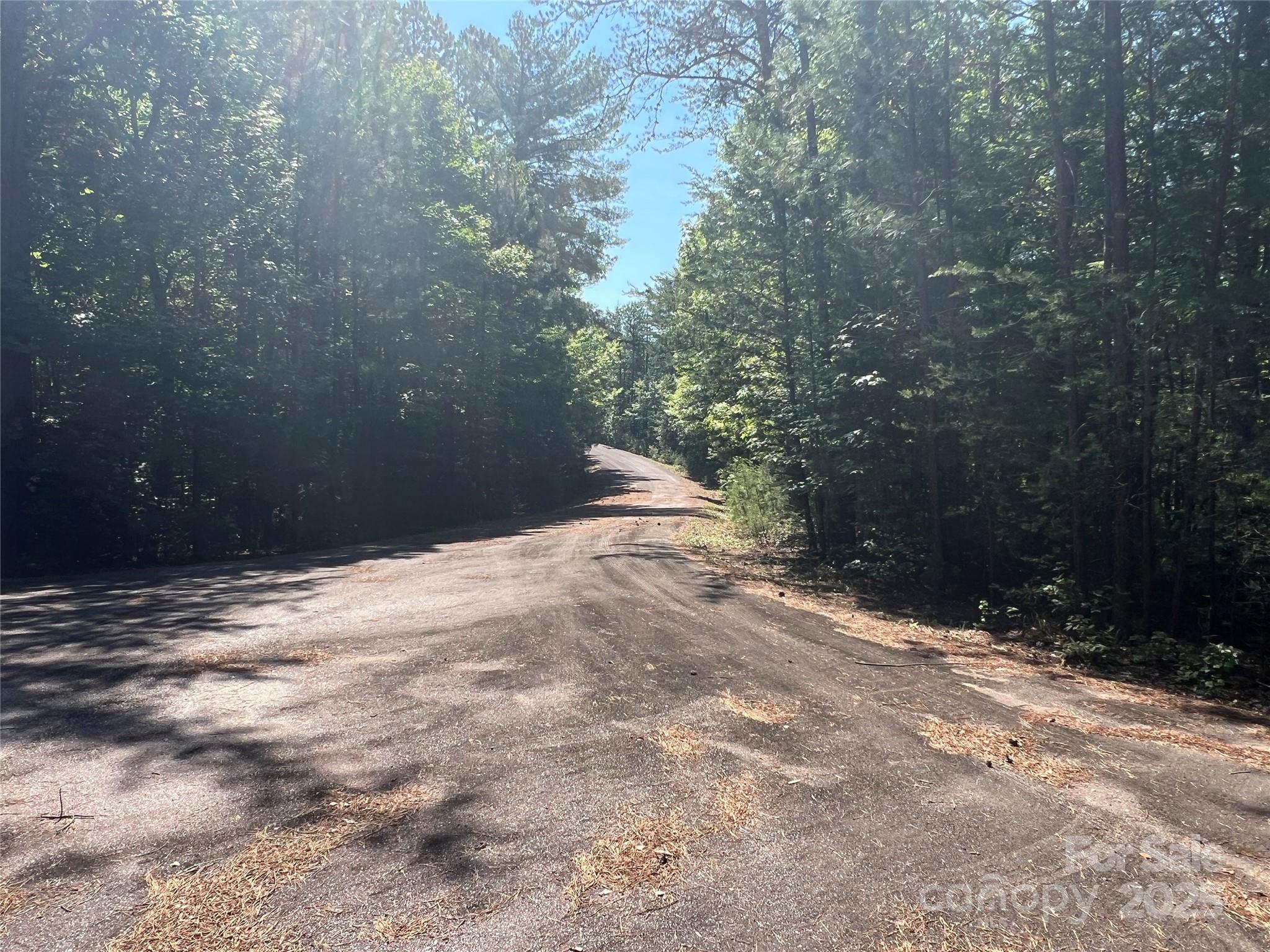 Lot at 0 South Mountain Drive, Nebo, photo 24 of 31