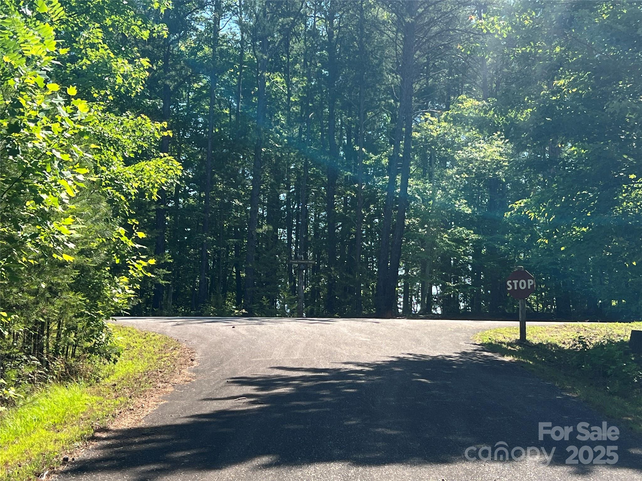 Lot at 0 South Mountain Drive, Nebo, photo 25 of 31