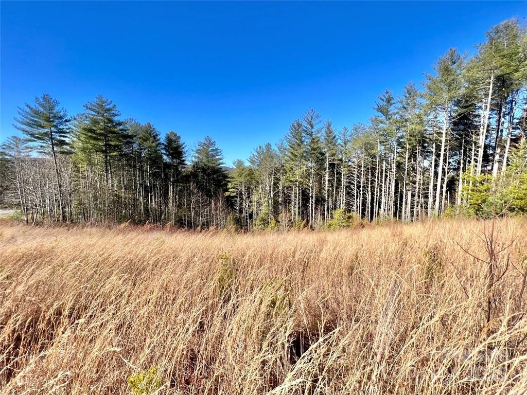 The build site on the lot is cleared. - 1.85 acres Lot 154 Rocky Falls Lane, Lenoir