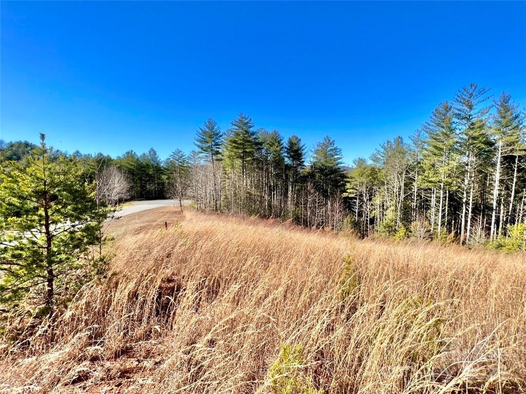 The home across the street and the home at the end of the culdesac both sit below street level and aren't seen from the build site - 1.85 acres Lot 154 Rocky Falls Lane, Lenoir