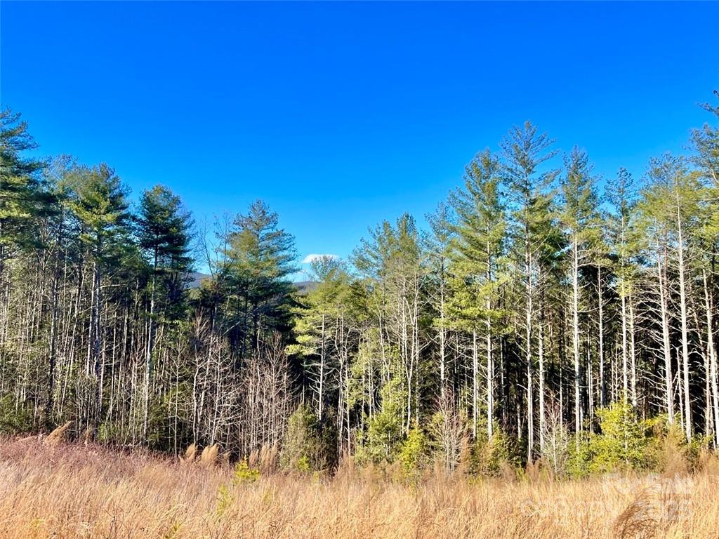 Lot at 1.85 acres Lot 154 Rocky Falls Lane, Lenoir, photo 12 of 48