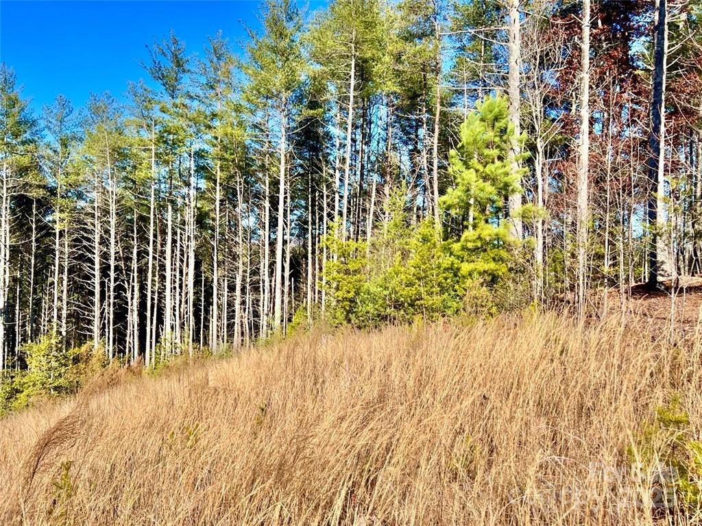Lot at 1.85 acres Lot 154 Rocky Falls Lane, Lenoir, photo 13 of 48