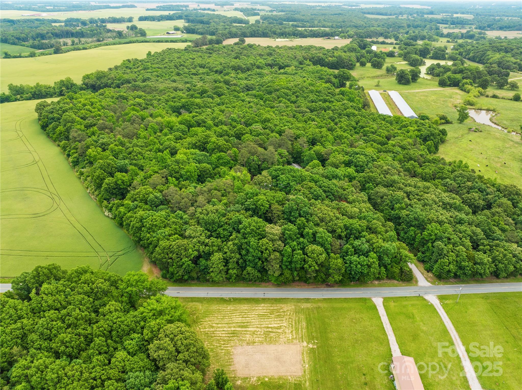 Acreage at 18AC WM Griffin Road, Monroe, photo 3 of 16