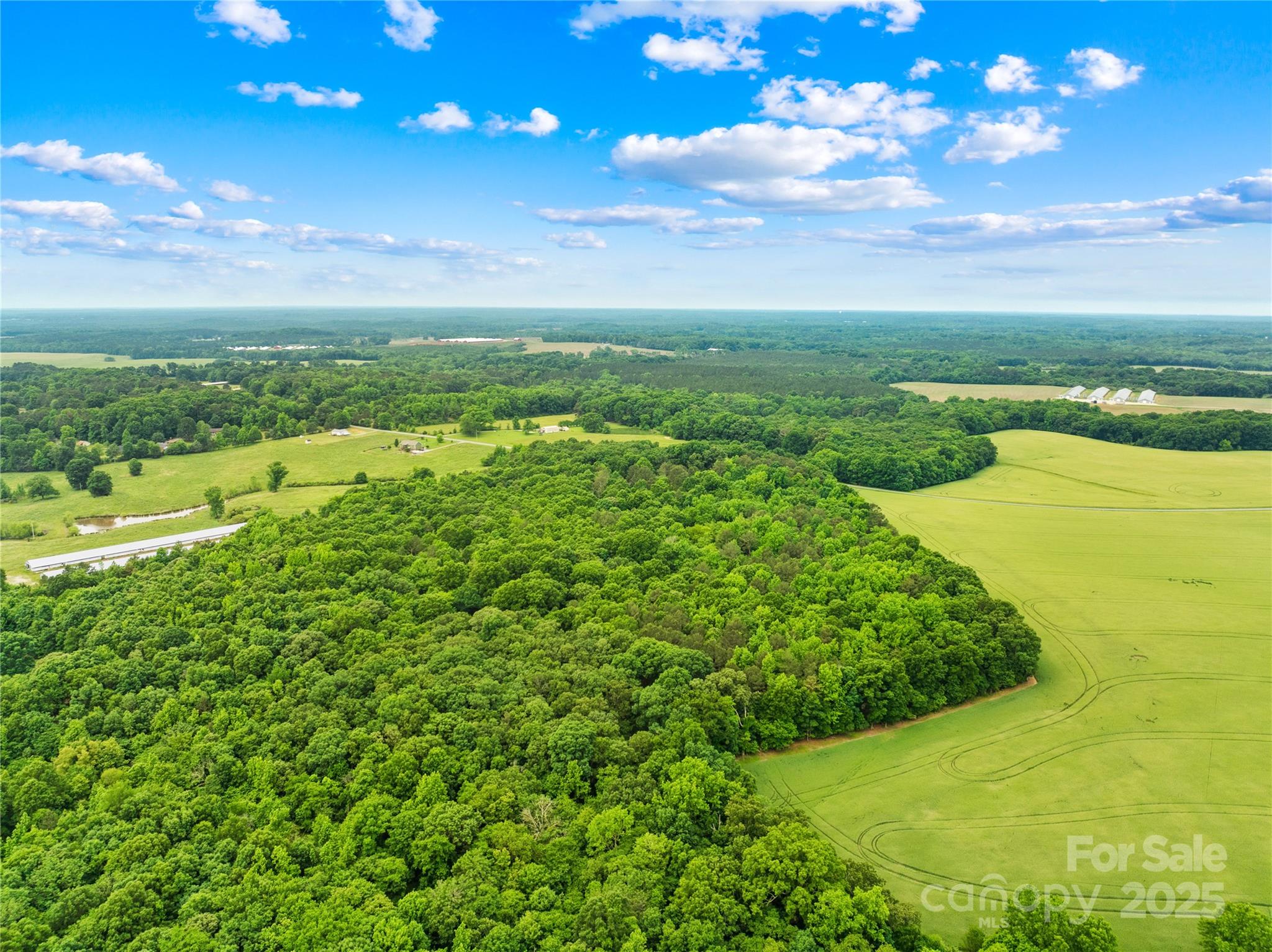 Acreage at 18AC WM Griffin Road, Monroe, photo 4 of 16