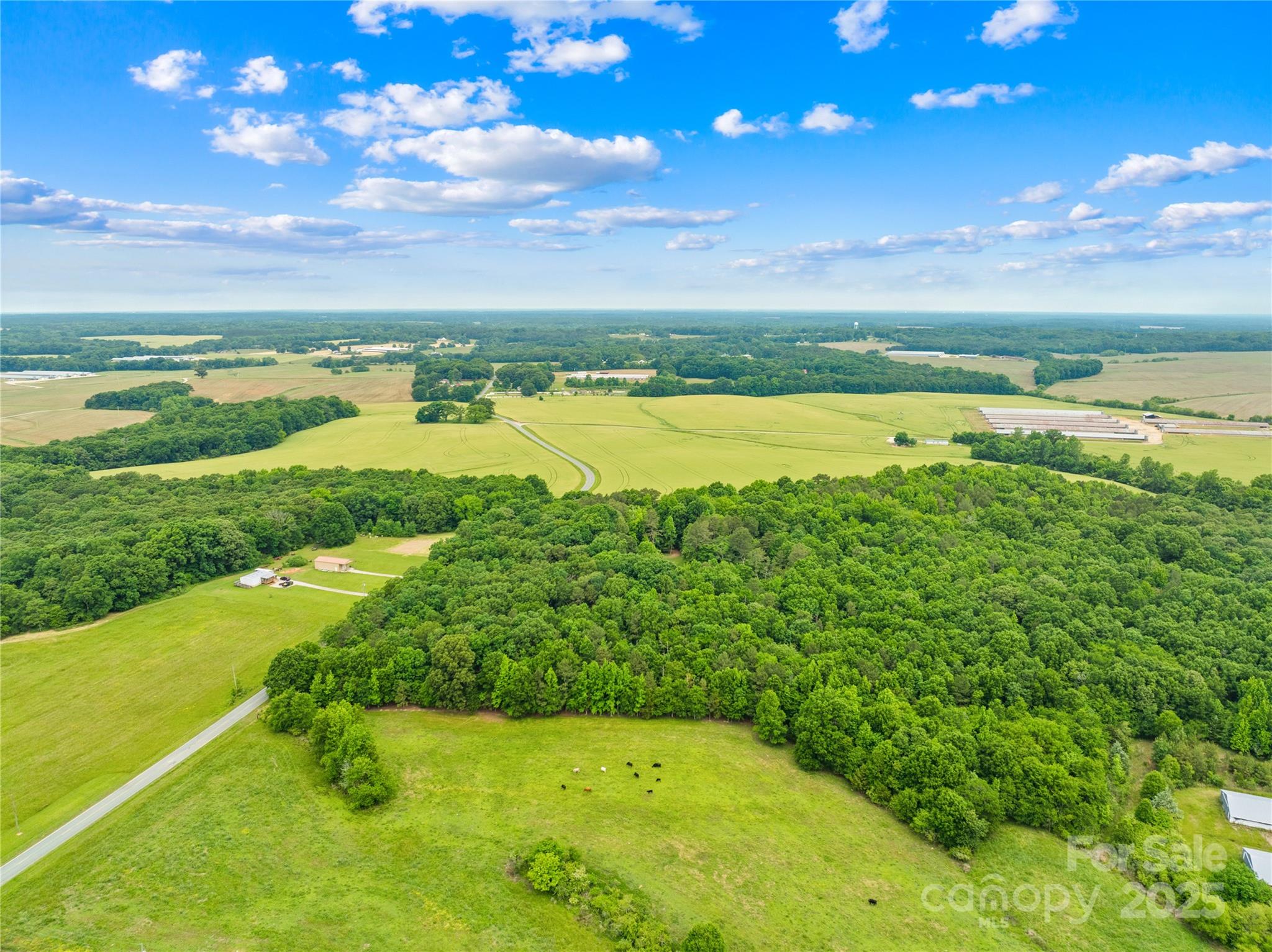 Acreage at 18AC WM Griffin Road, Monroe, photo 5 of 16