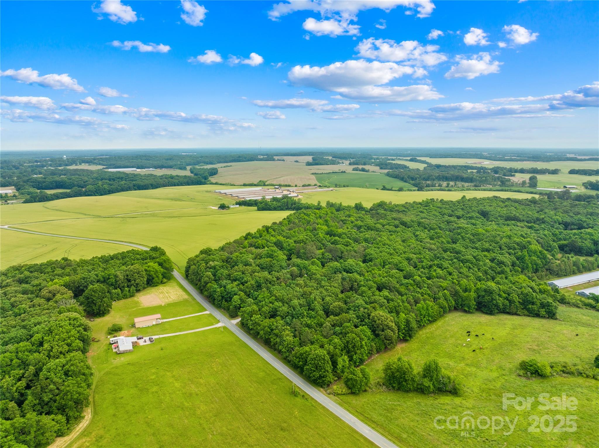 Acreage at 18AC WM Griffin Road, Monroe, photo 6 of 16