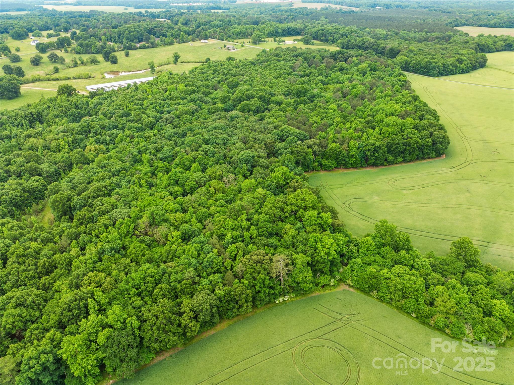 Acreage at 18AC WM Griffin Road, Monroe, photo 2 of 16