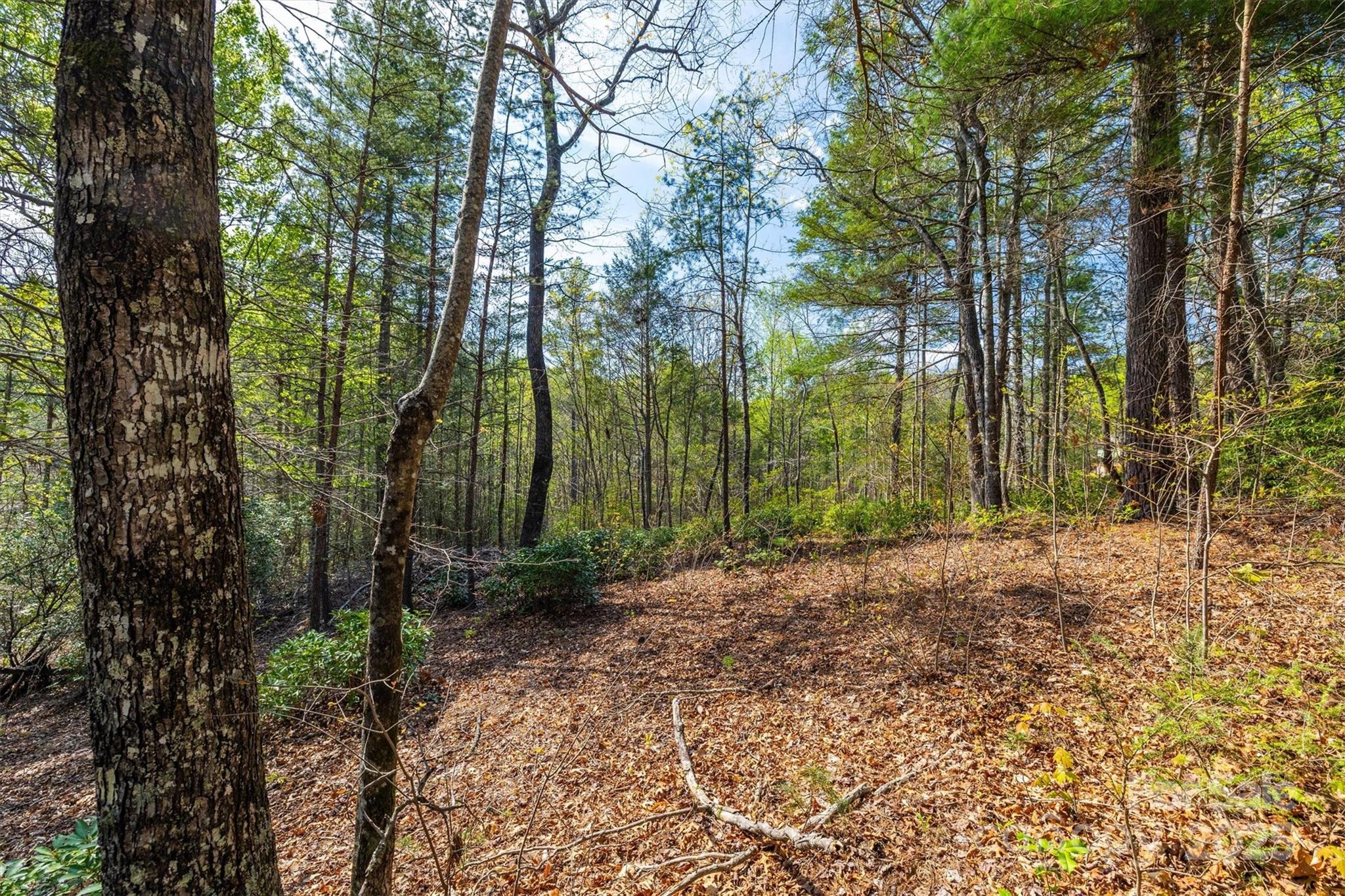 Lot at 18 Walnut Ridge Way, Lenoir, photo 2 of 35