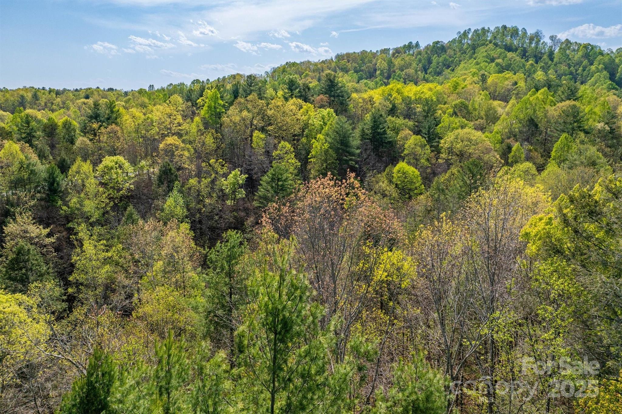 Lot at 18 Walnut Ridge Way, Lenoir, photo 15 of 35