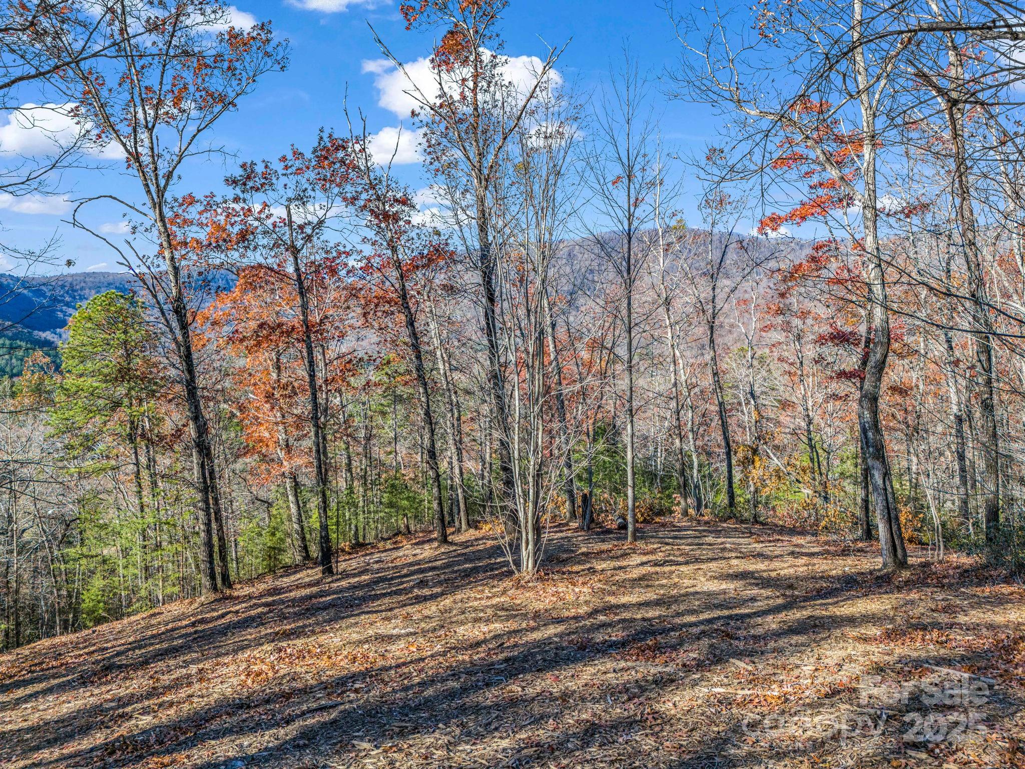 Single Family Residence at Lot 30 Deep Gap Farm Road E, Mill Spring, photo 9 of 18