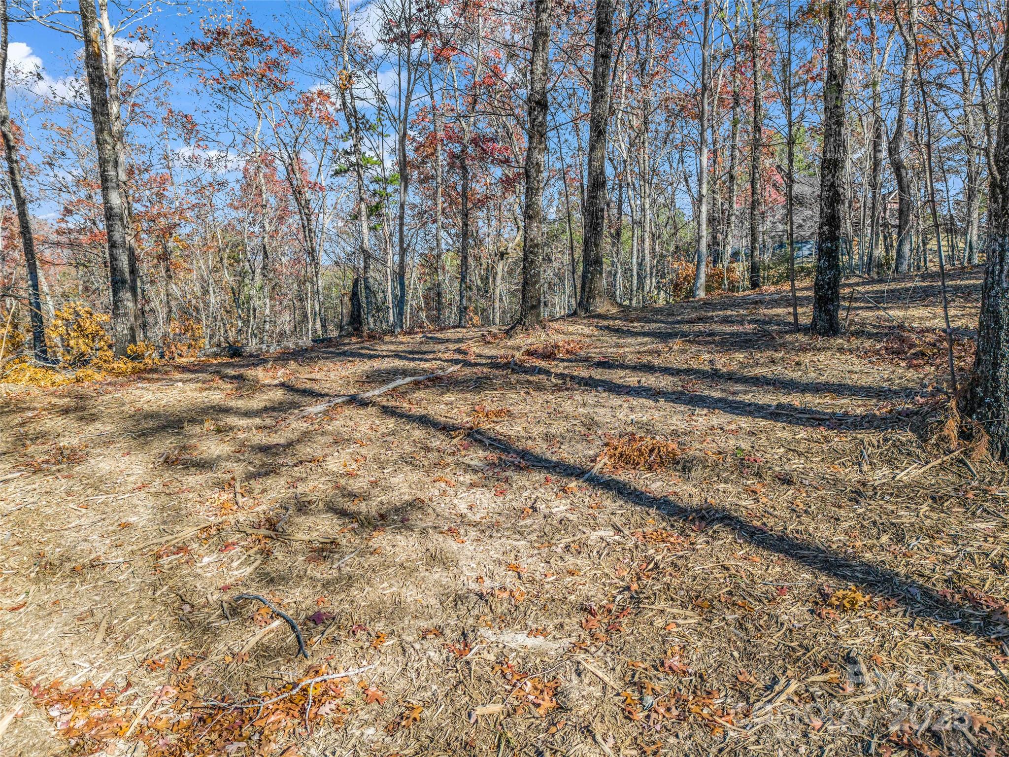 Single Family Residence at Lot 30 Deep Gap Farm Road E, Mill Spring, photo 12 of 18