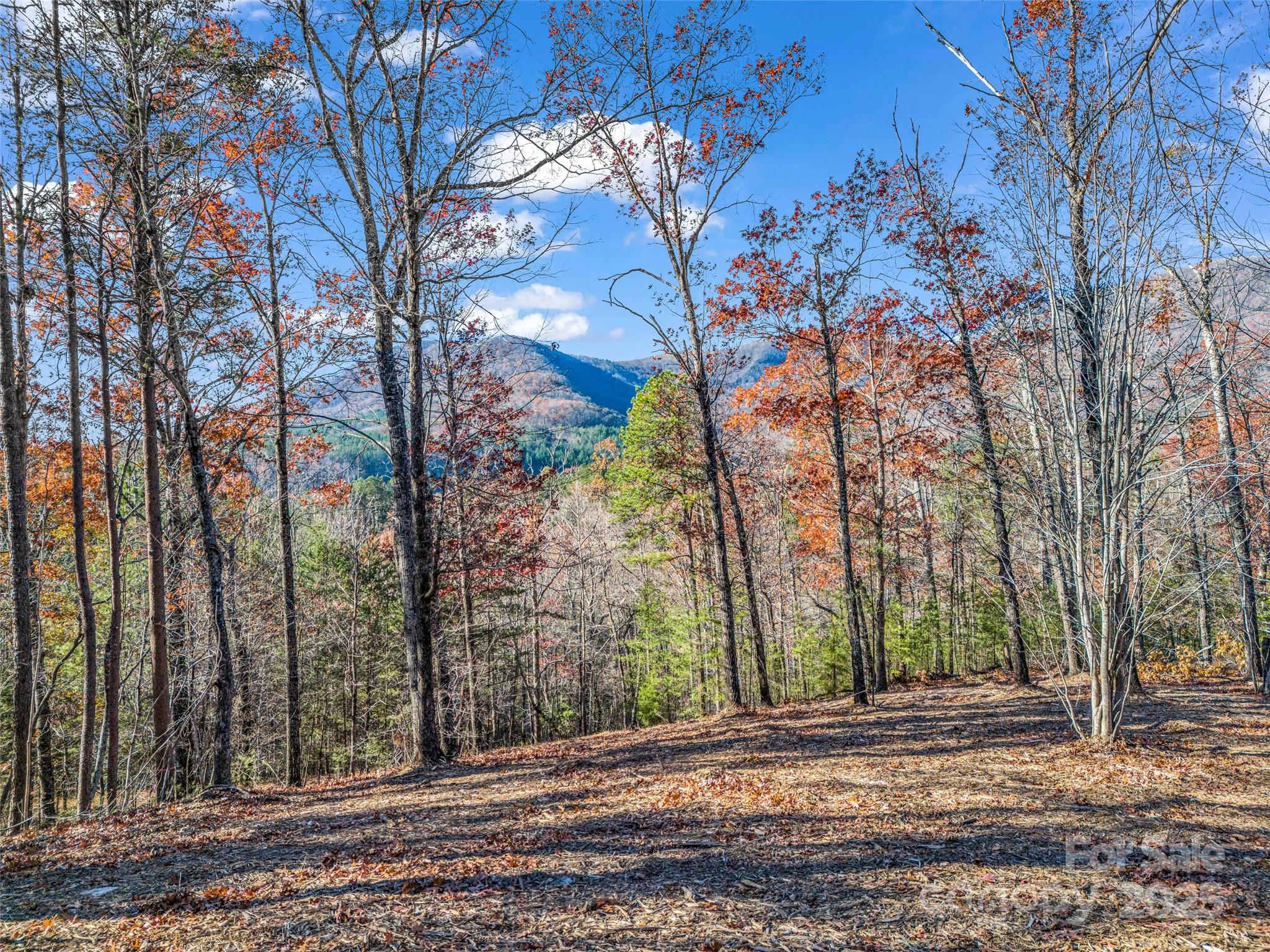 Single Family Residence at Lot 30 Deep Gap Farm Road E, Mill Spring, photo 15 of 18