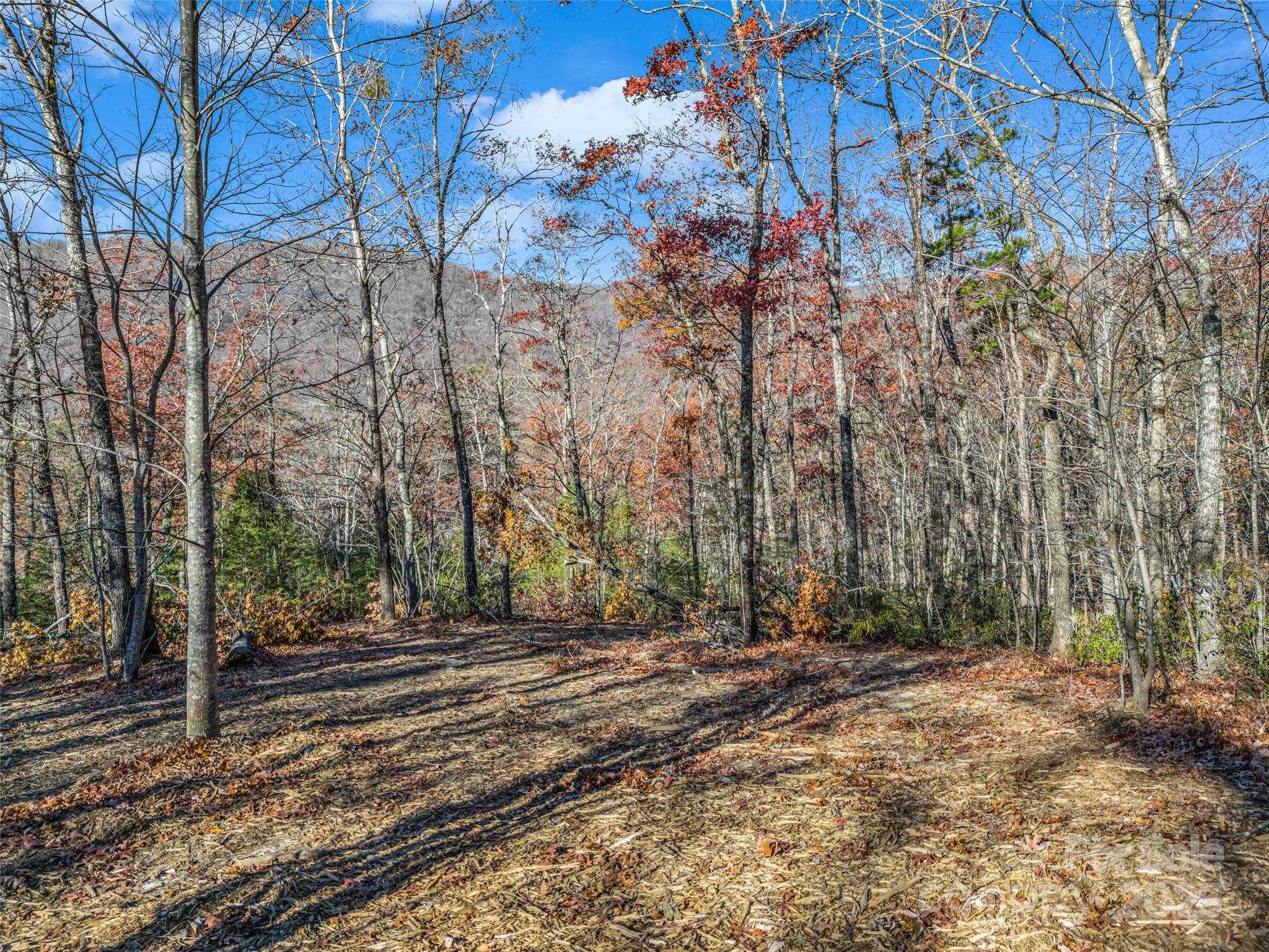 Single Family Residence at Lot 30 Deep Gap Farm Road E, Mill Spring, photo 16 of 18