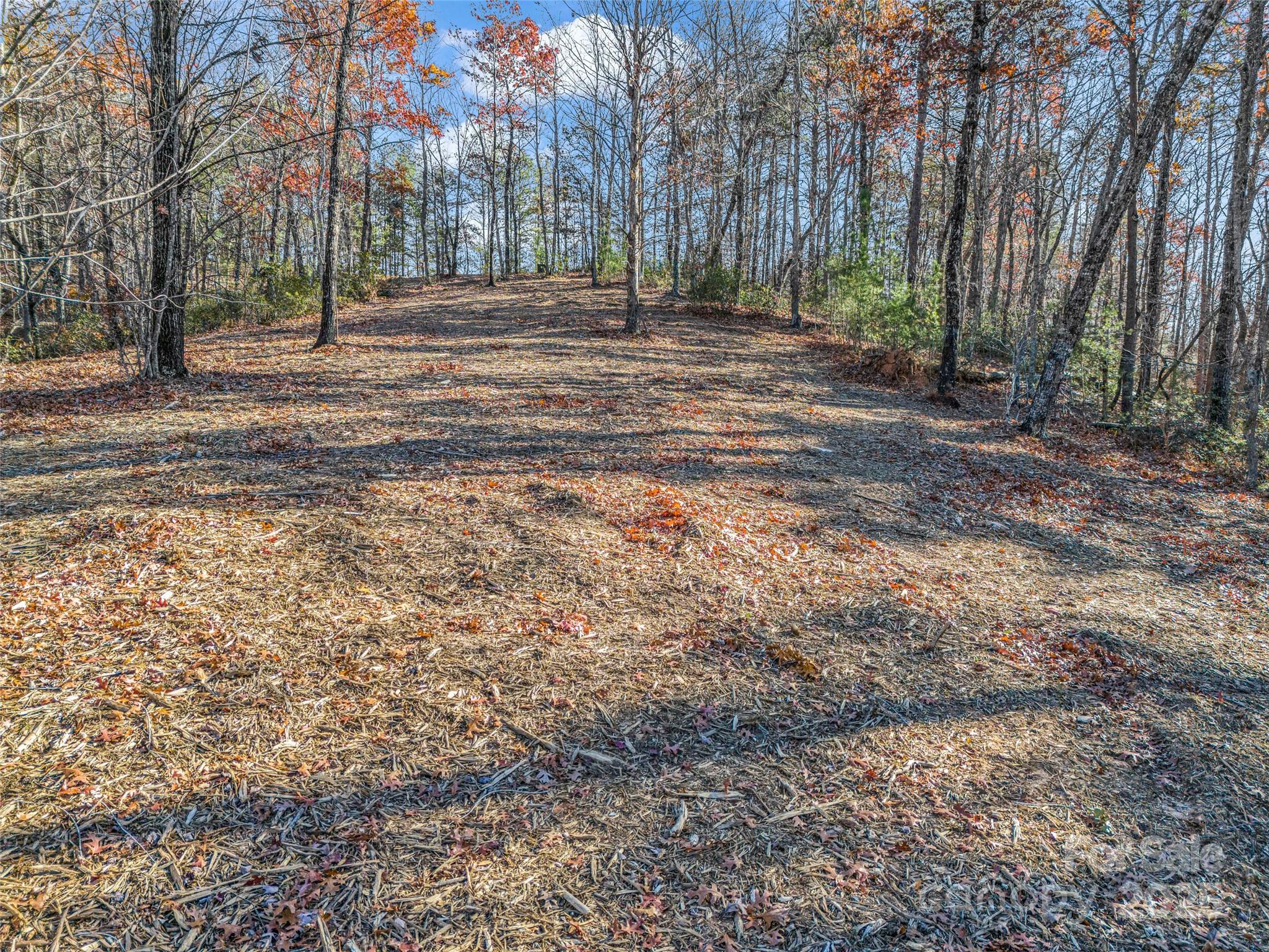 Single Family Residence at Lot 30 Deep Gap Farm Road E, Mill Spring, photo 17 of 18