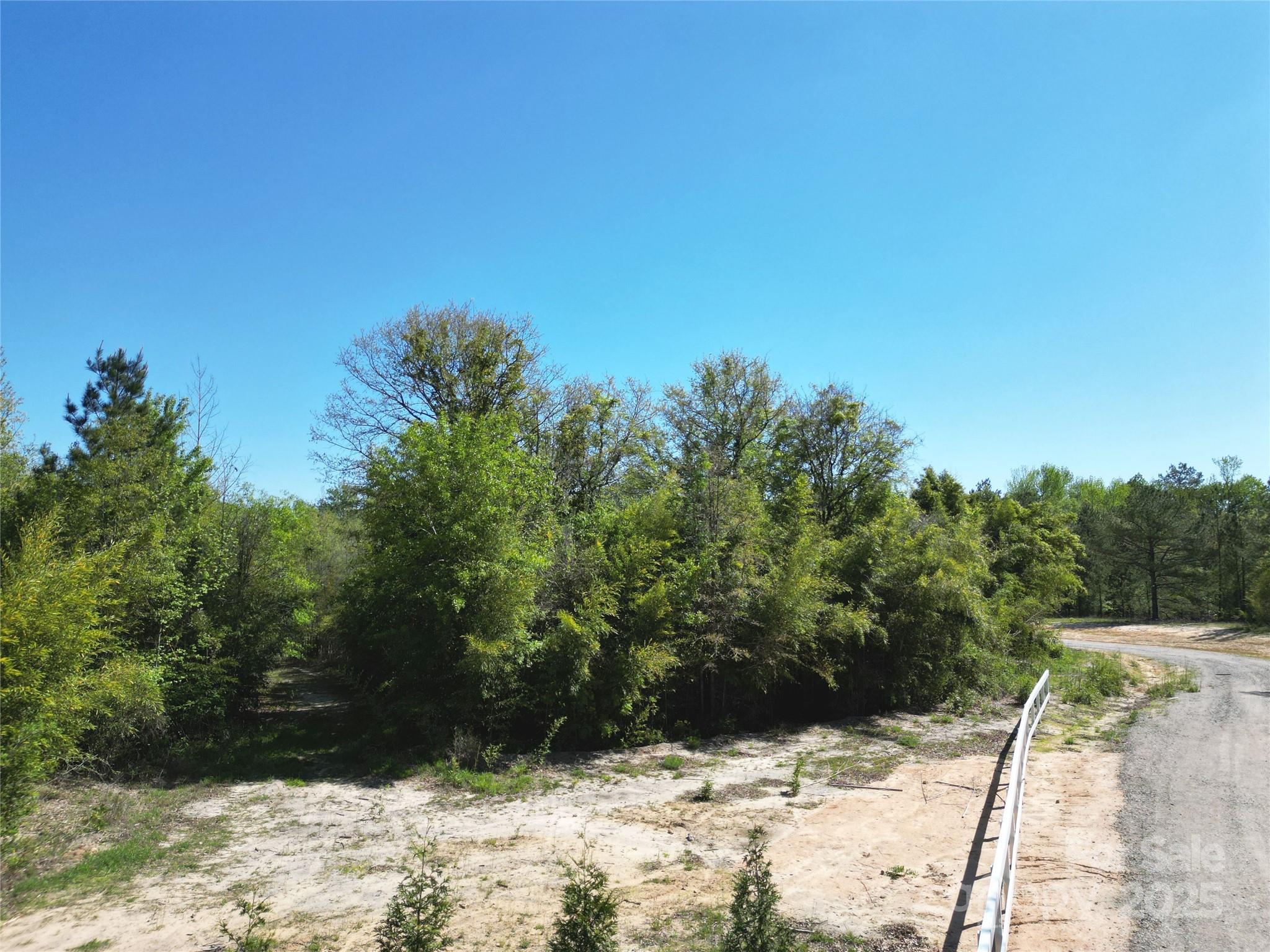 Acreage at TBD Goldenrod Drive, Carthage, photo 6 of 31