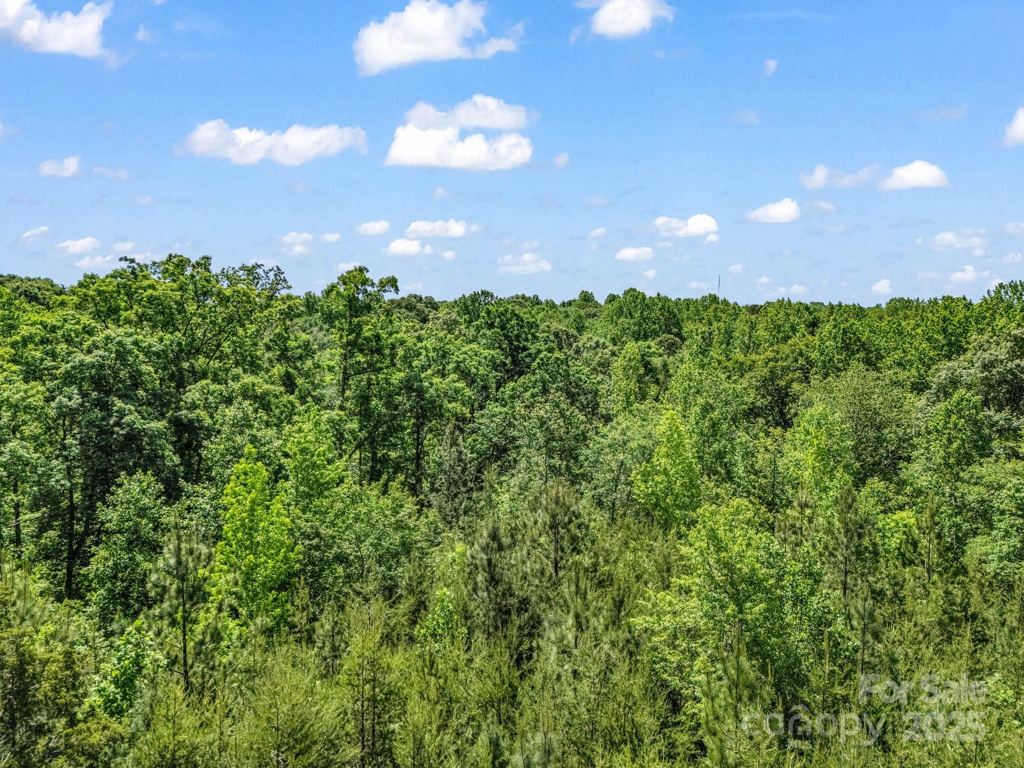 Acreage at 00 Metcalf Road, Shelby, photo 22 of 24