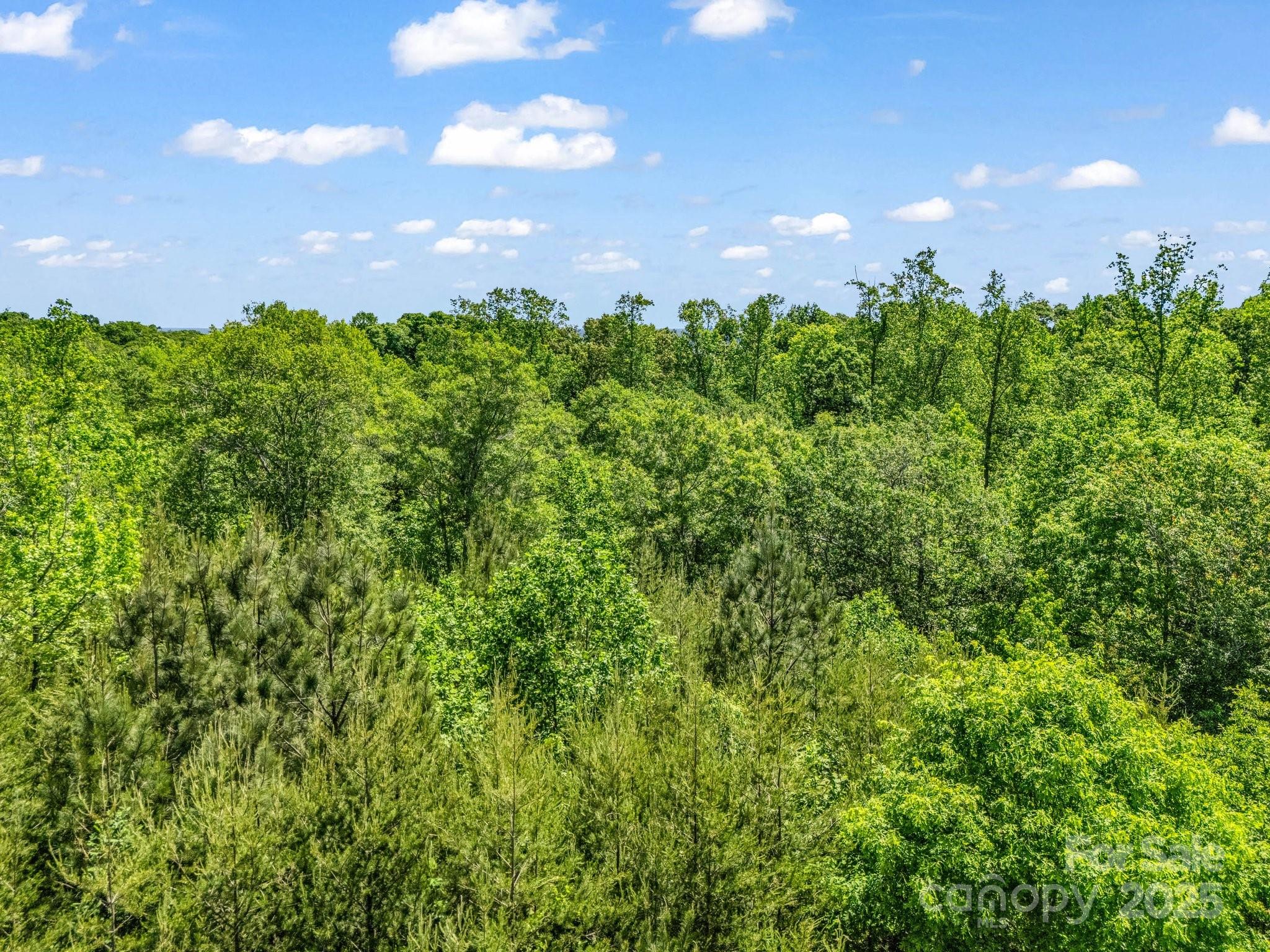 Acreage at 00 Metcalf Road, Shelby, photo 23 of 24