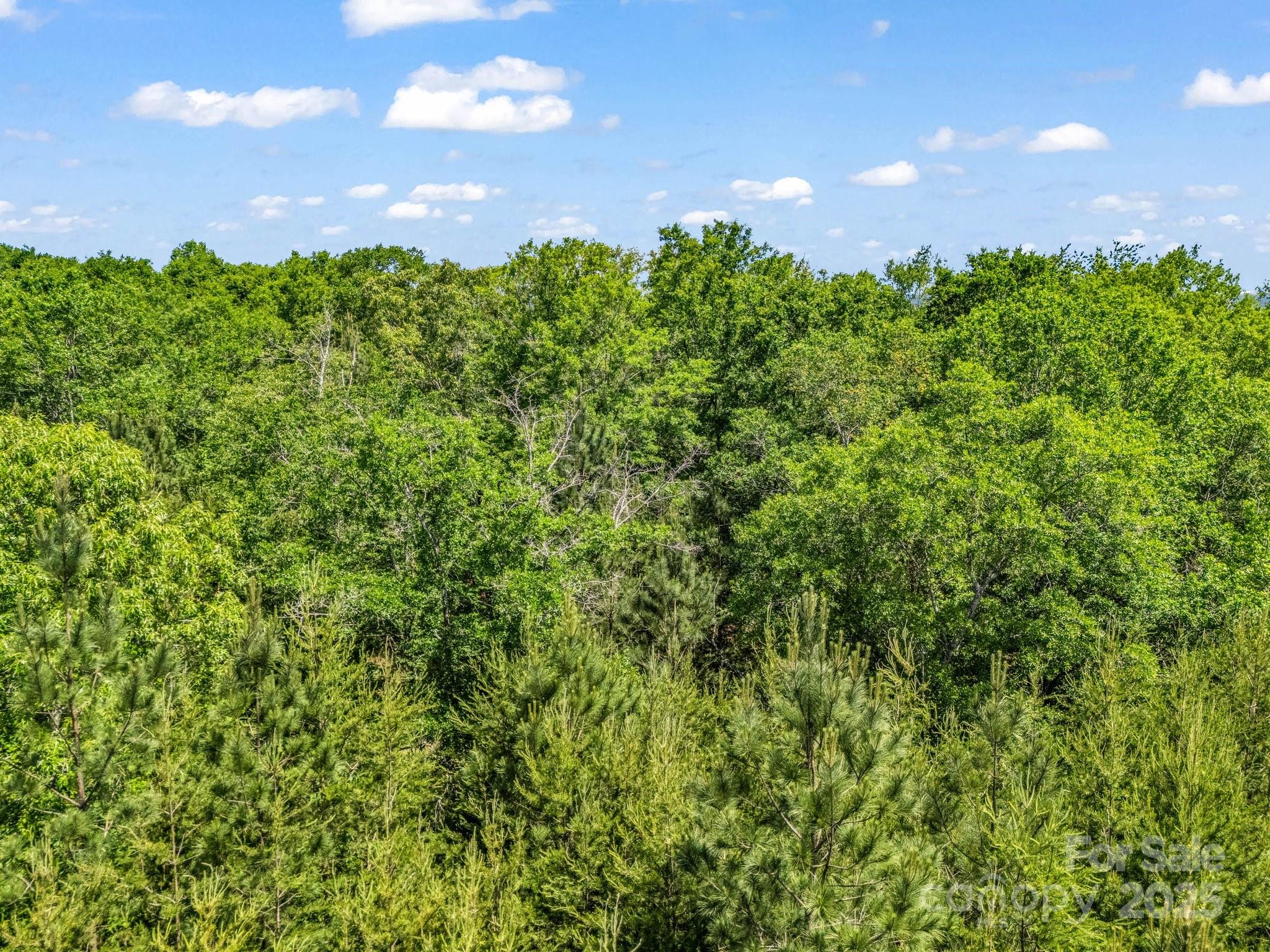 Acreage at 00 Metcalf Road, Shelby, photo 24 of 24