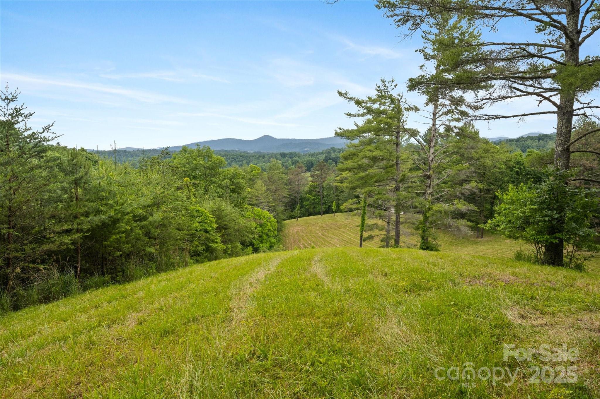 942 Paint Fork Road