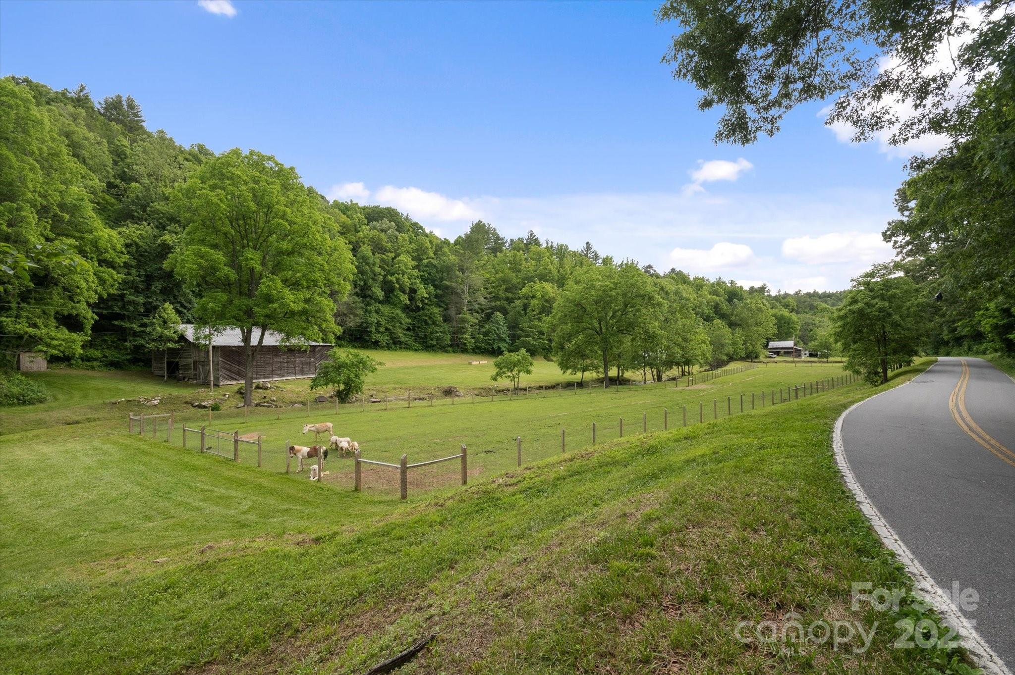 Lot at 942 Paint Fork Road, Mars Hill, photo 4 of 48