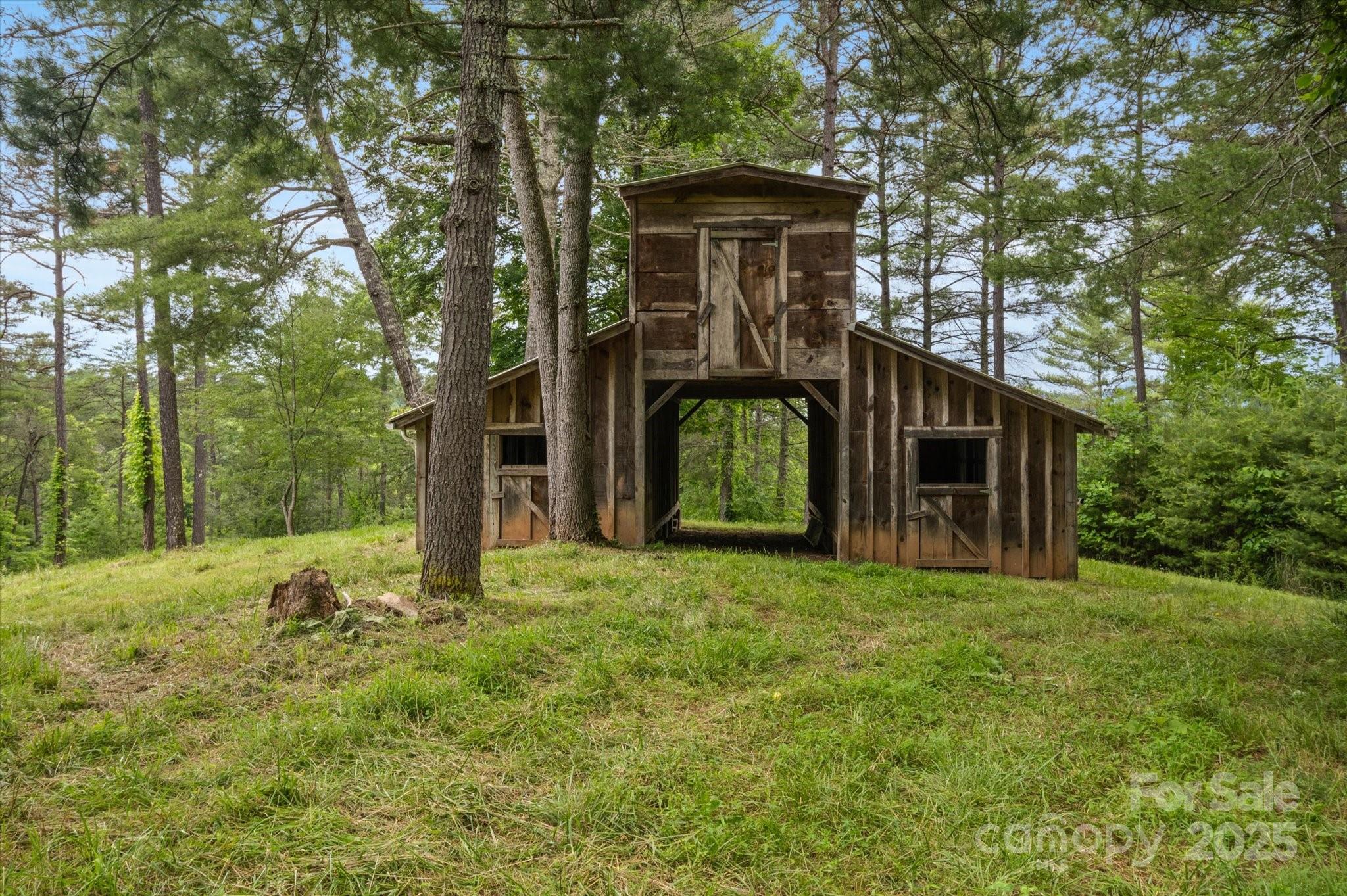 Lot at 942 Paint Fork Road, Mars Hill, photo 5 of 48