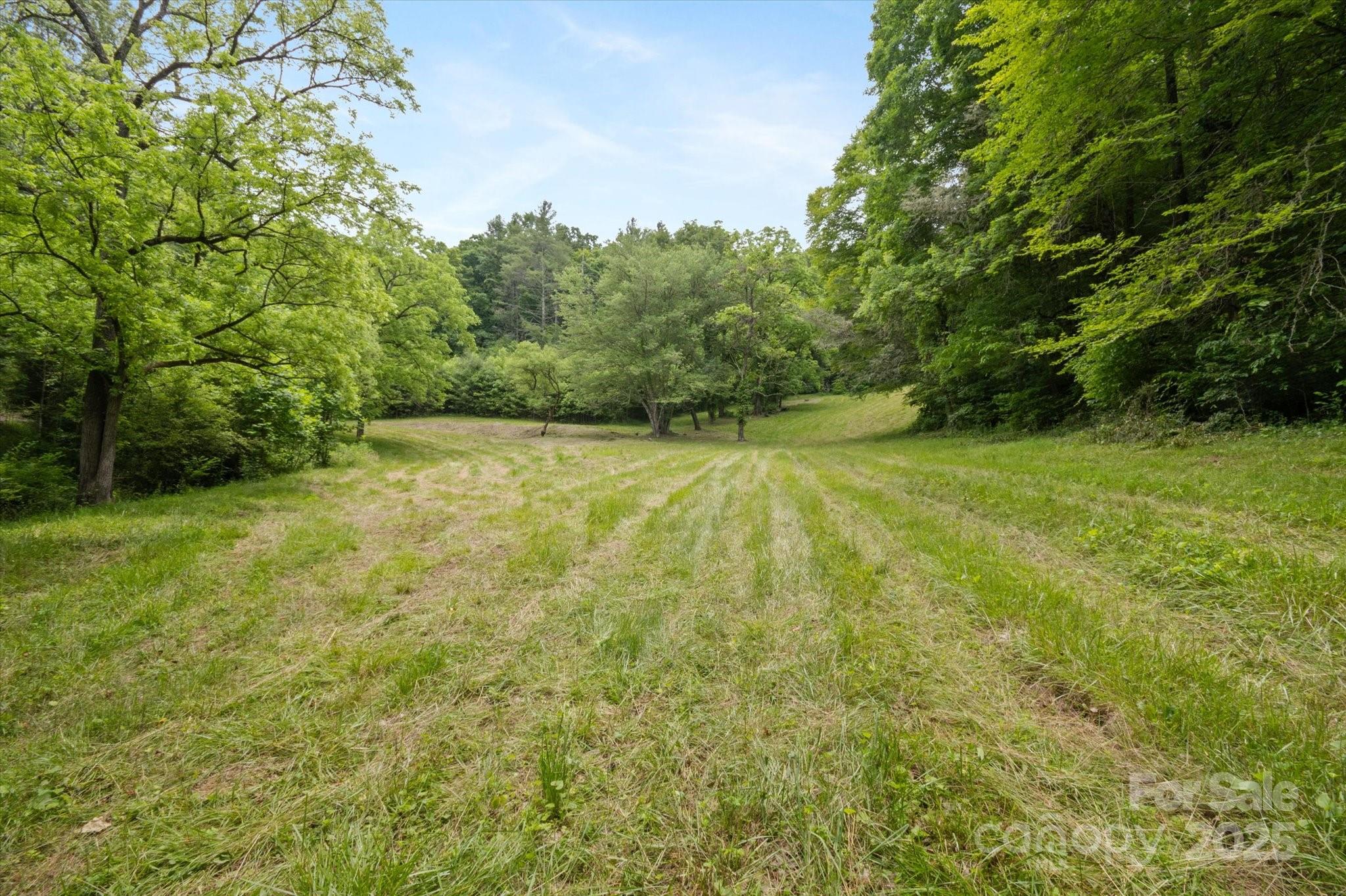 Lot at 942 Paint Fork Road, Mars Hill, photo 6 of 48