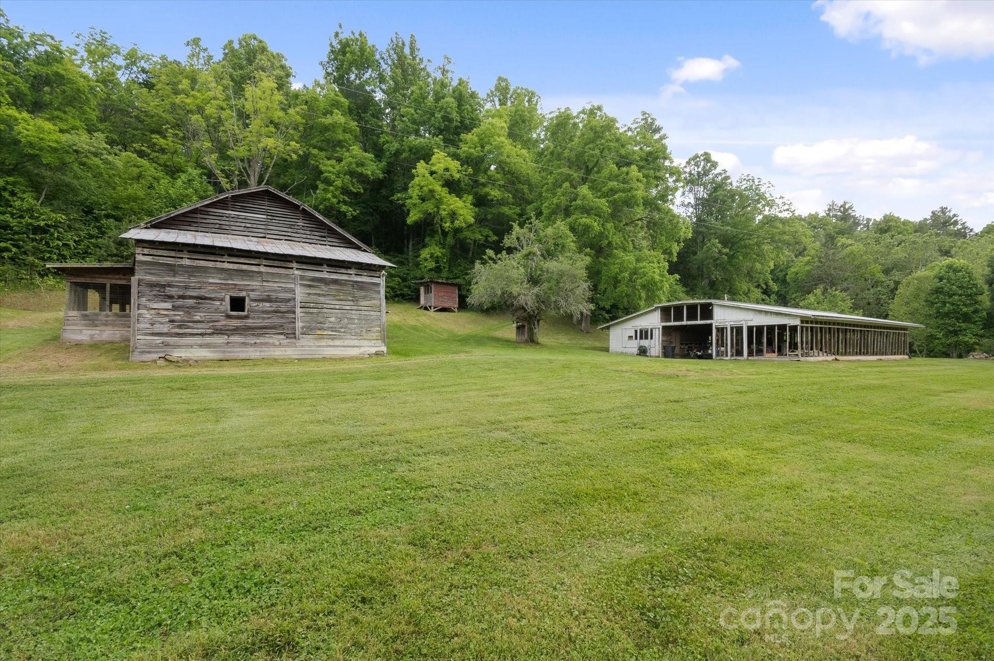 Lot at 942 Paint Fork Road, Mars Hill, photo 25 of 48