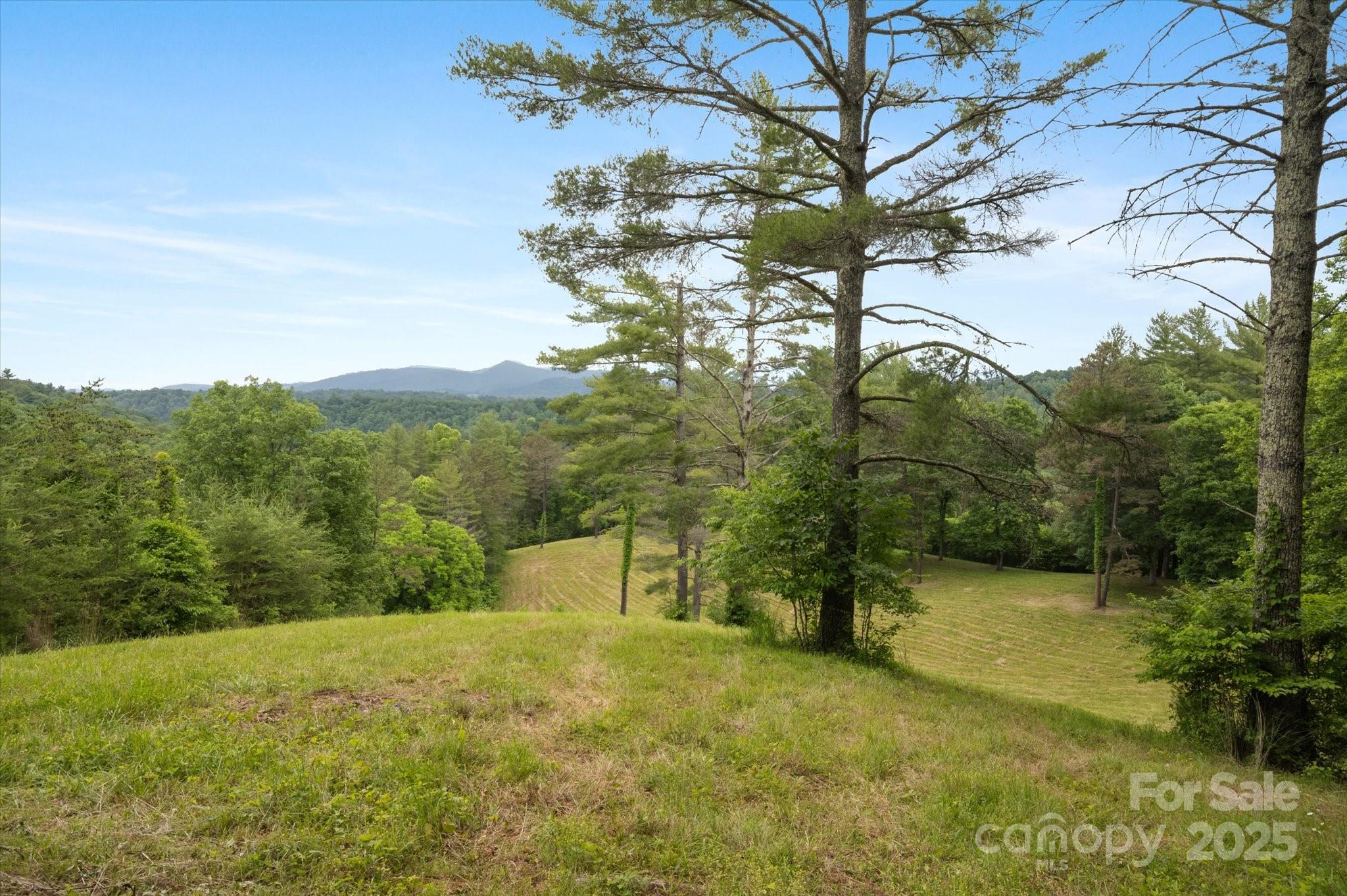 Lot at 942 Paint Fork Road, Mars Hill, photo 26 of 48