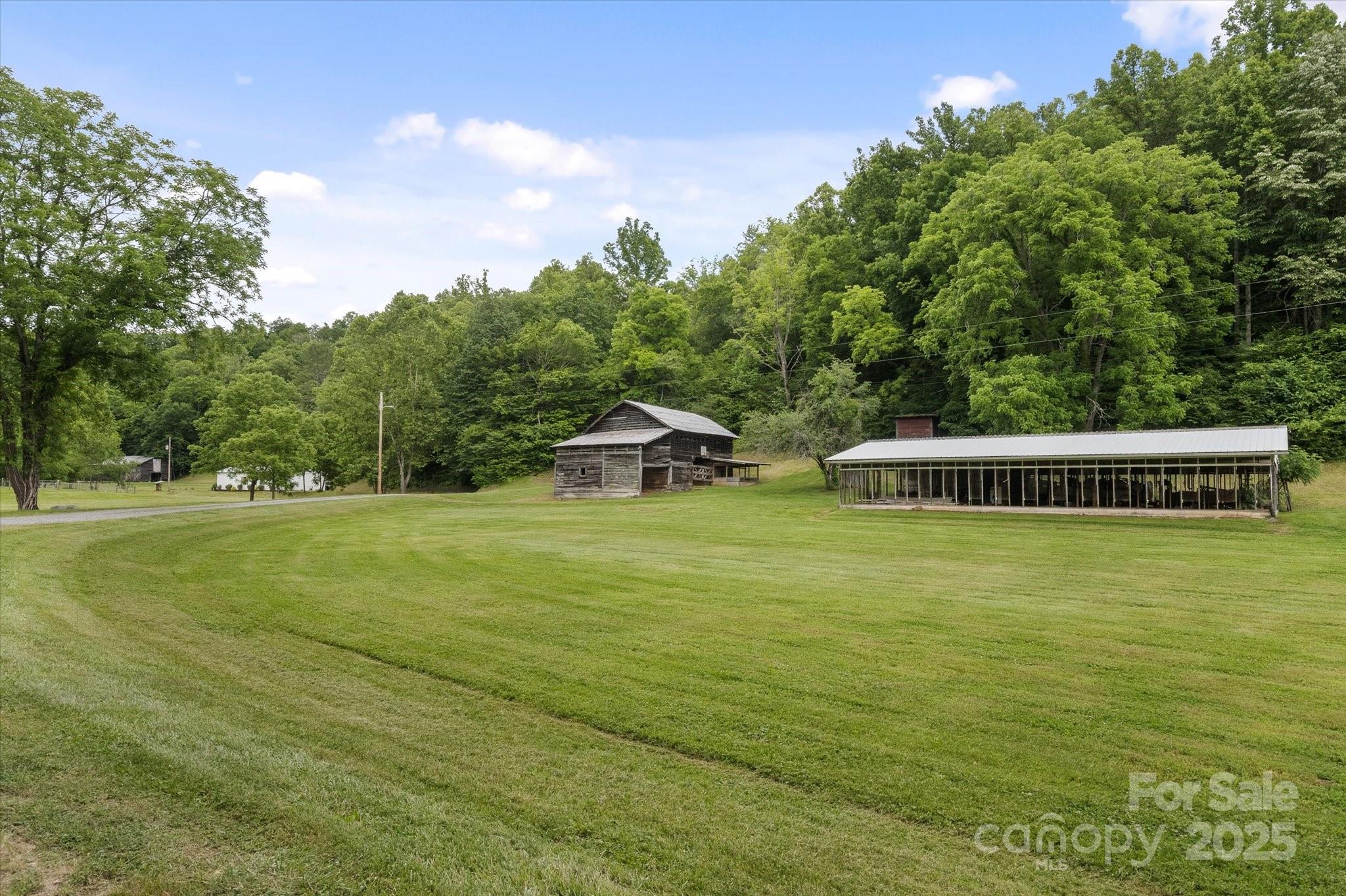 Lot at 942 Paint Fork Road, Mars Hill, photo 27 of 48