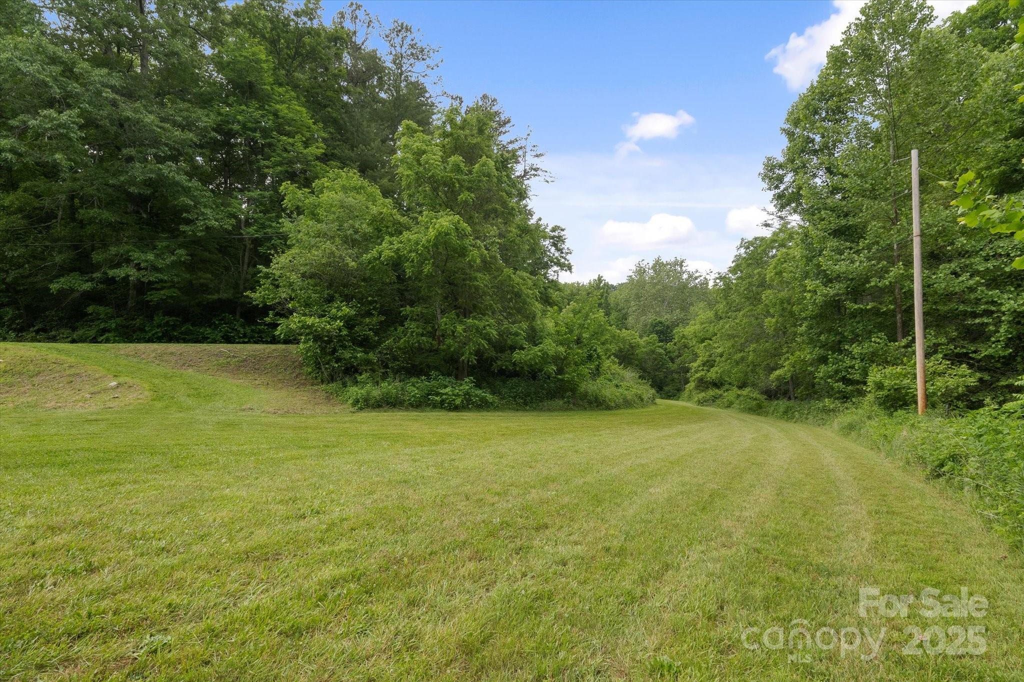 Lot at 942 Paint Fork Road, Mars Hill, photo 28 of 48