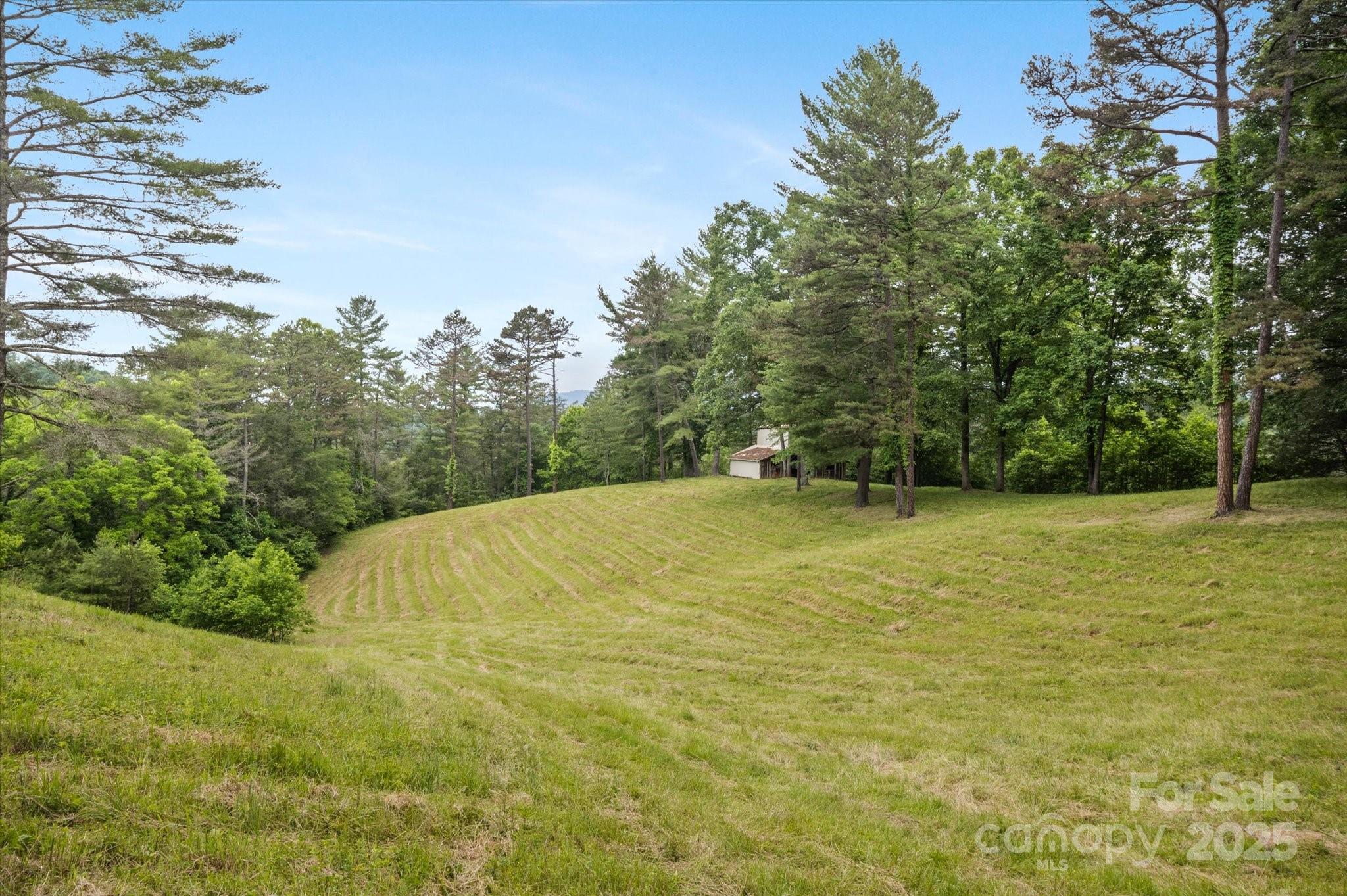 Lot at 942 Paint Fork Road, Mars Hill, photo 29 of 48