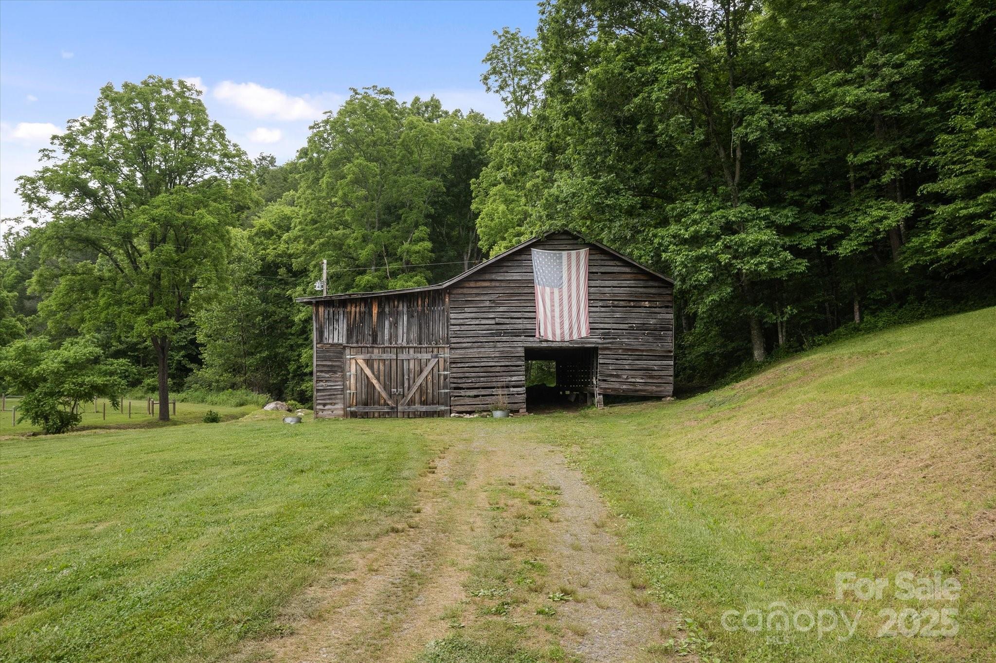 Lot at 942 Paint Fork Road, Mars Hill, photo 30 of 48