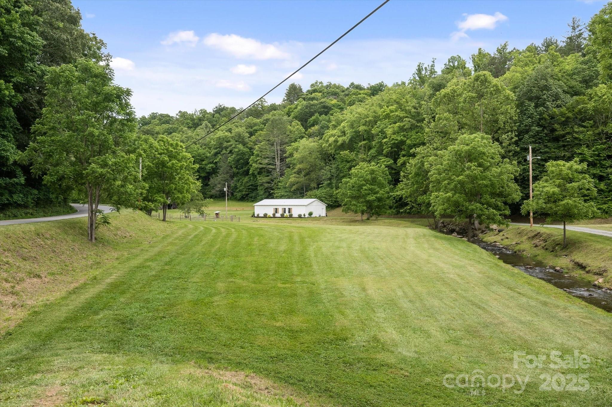 Lot at 942 Paint Fork Road, Mars Hill, photo 31 of 48