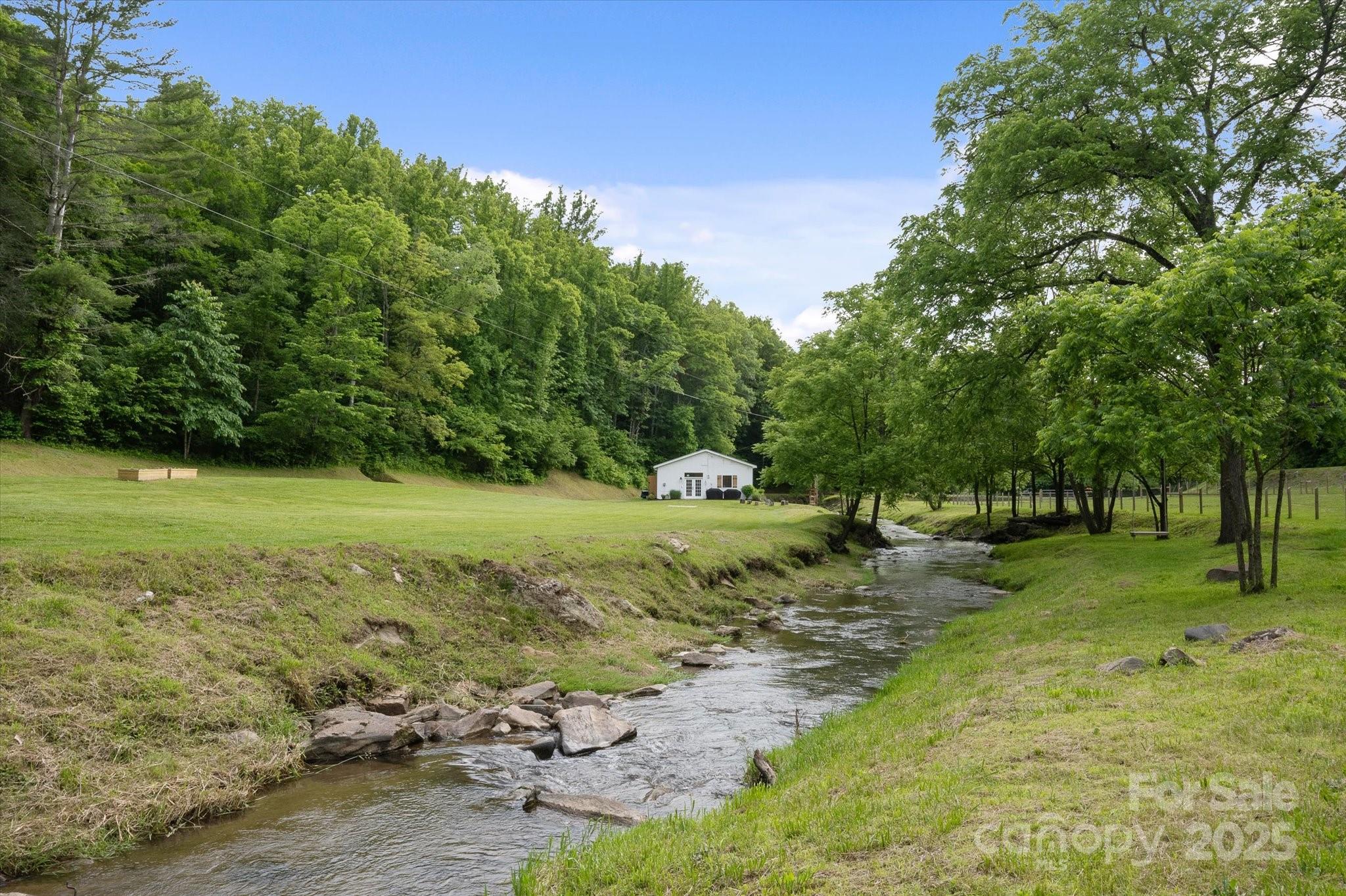 Lot at 942 Paint Fork Road, Mars Hill, photo 32 of 48