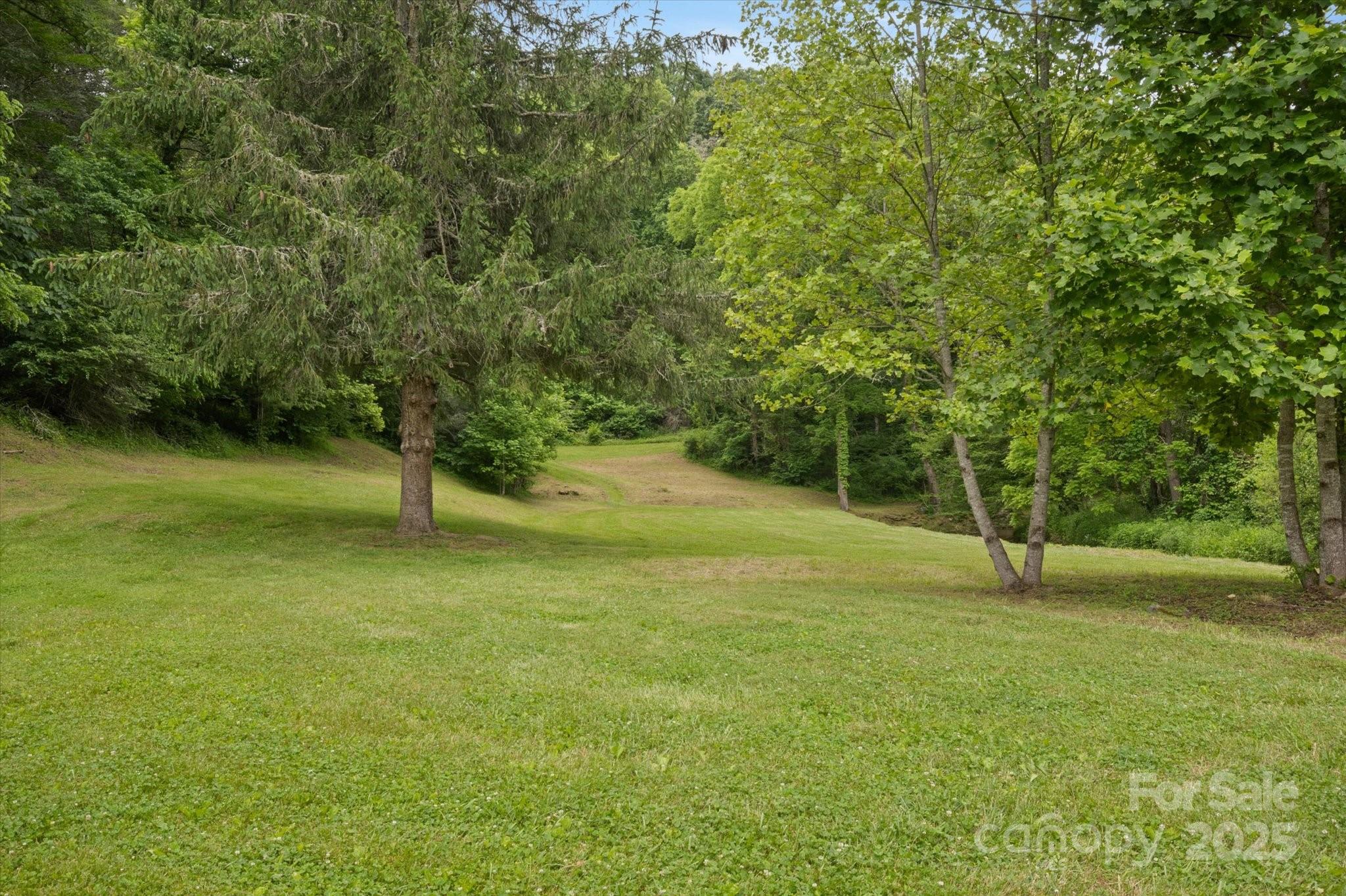 Lot at 942 Paint Fork Road, Mars Hill, photo 33 of 48