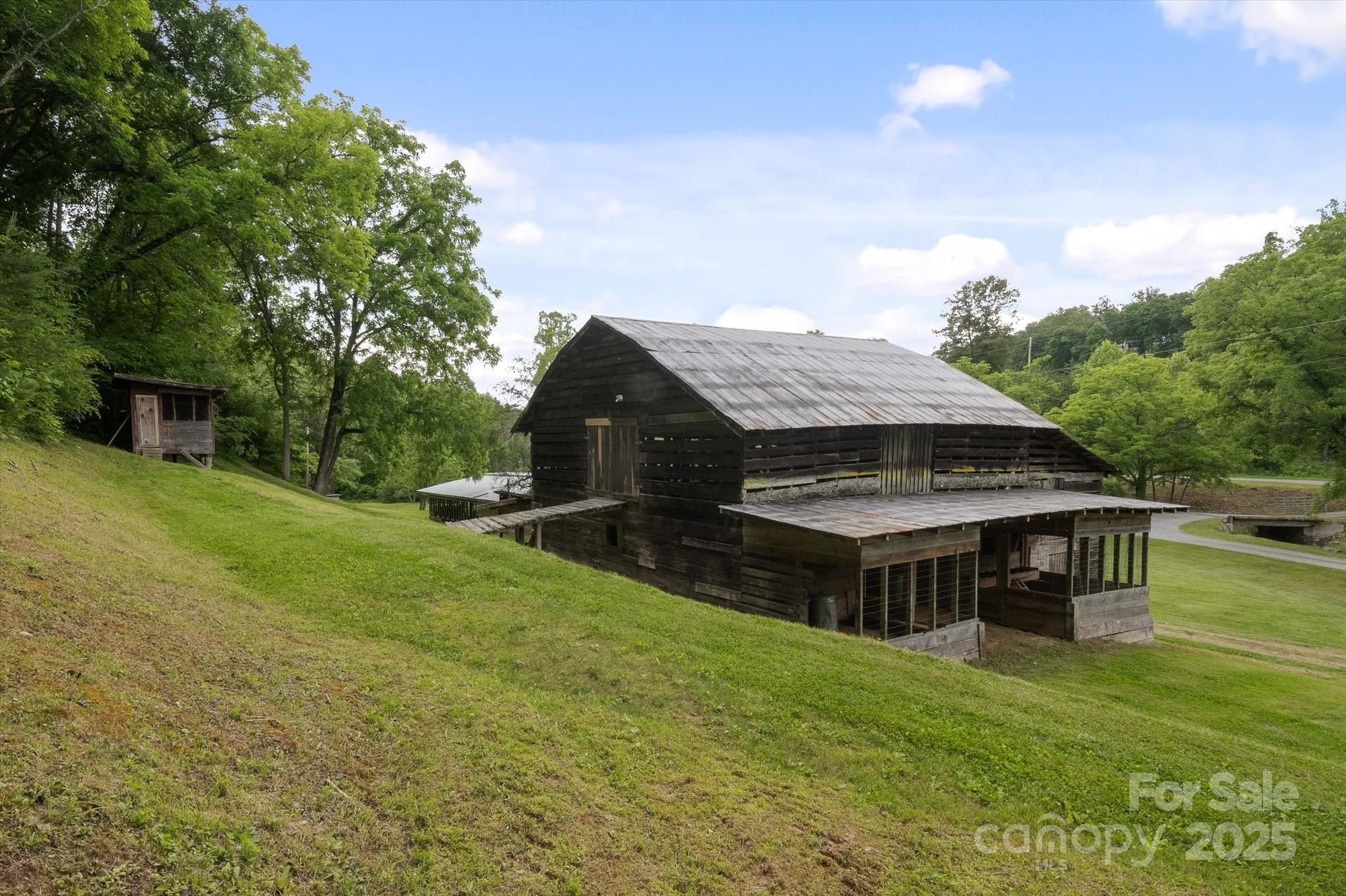 Lot at 942 Paint Fork Road, Mars Hill, photo 34 of 48