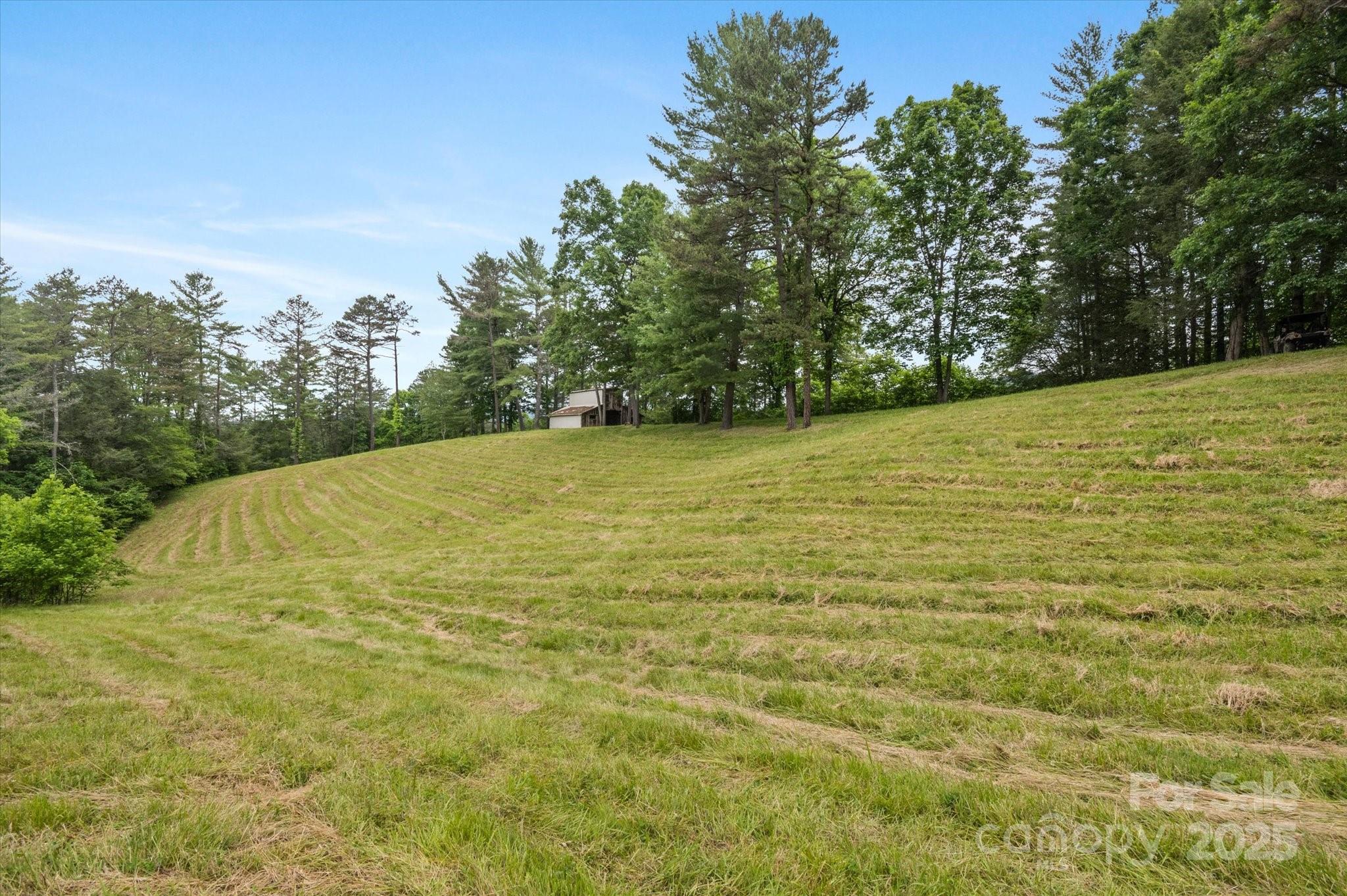Lot at 942 Paint Fork Road, Mars Hill, photo 35 of 48