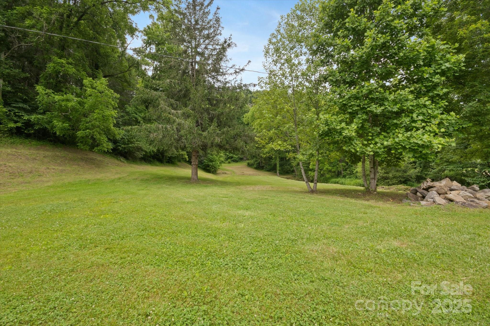 Lot at 942 Paint Fork Road, Mars Hill, photo 39 of 48