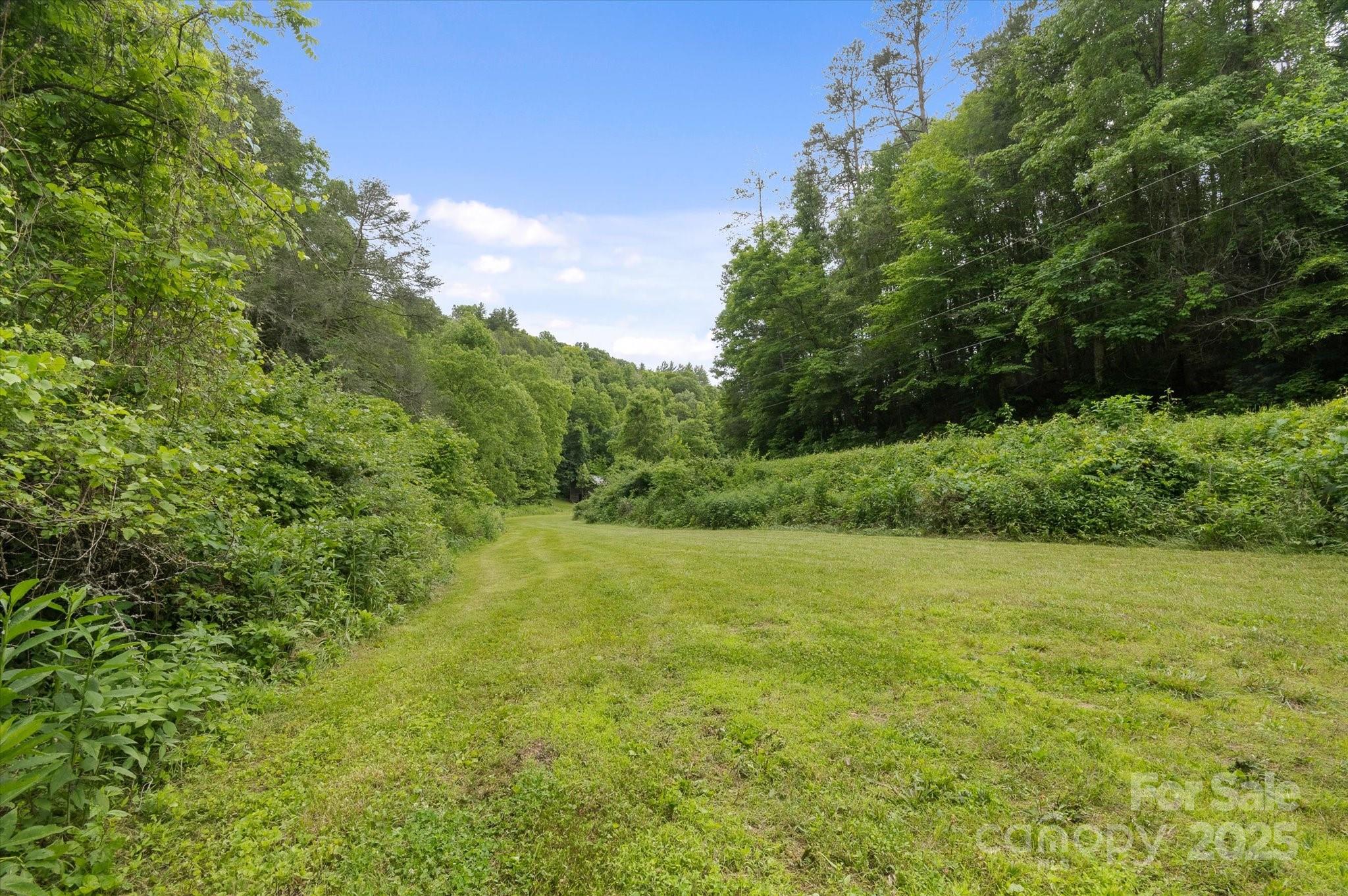 Lot at 942 Paint Fork Road, Mars Hill, photo 41 of 48