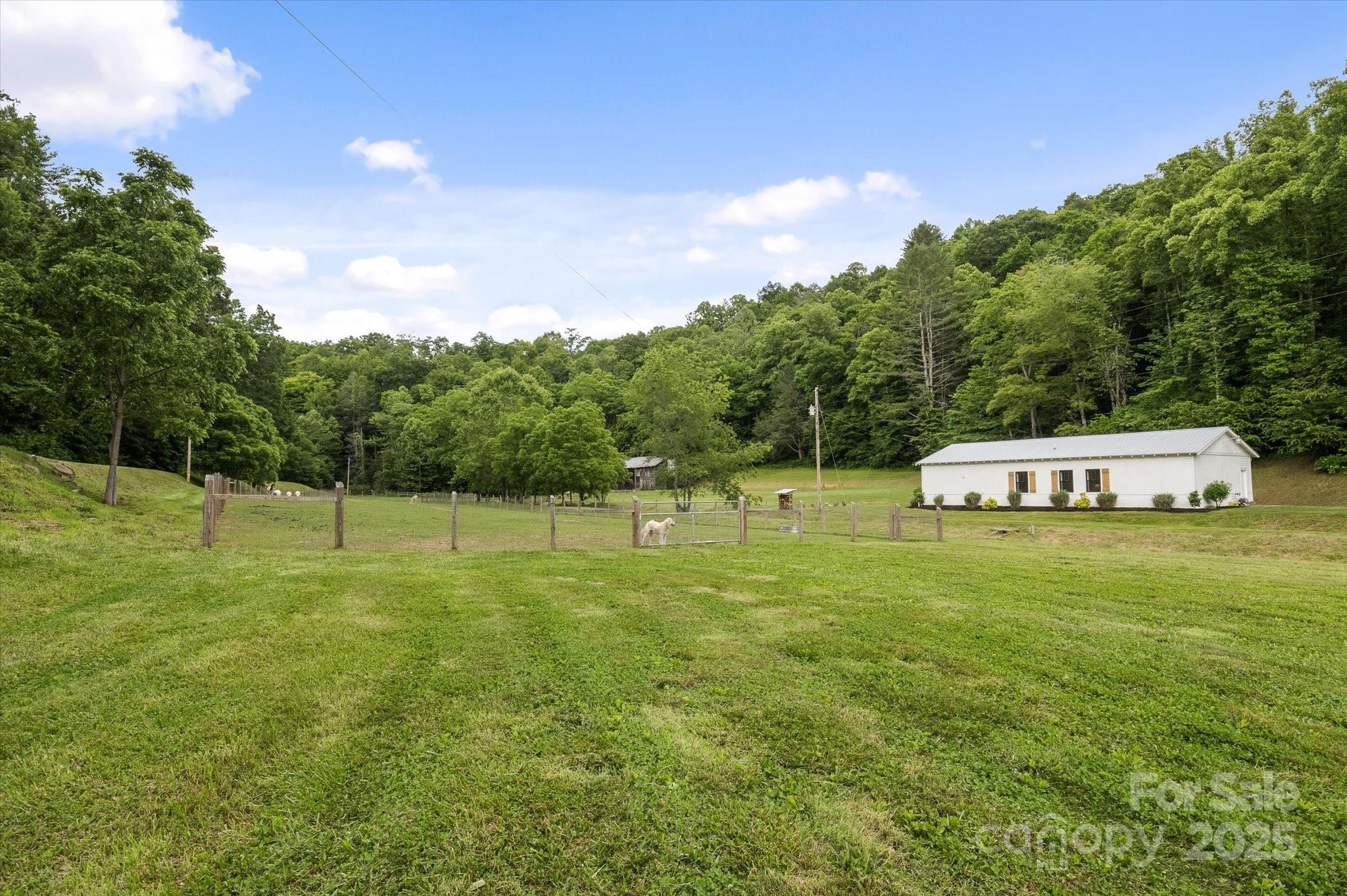 Lot at 942 Paint Fork Road, Mars Hill, photo 42 of 48