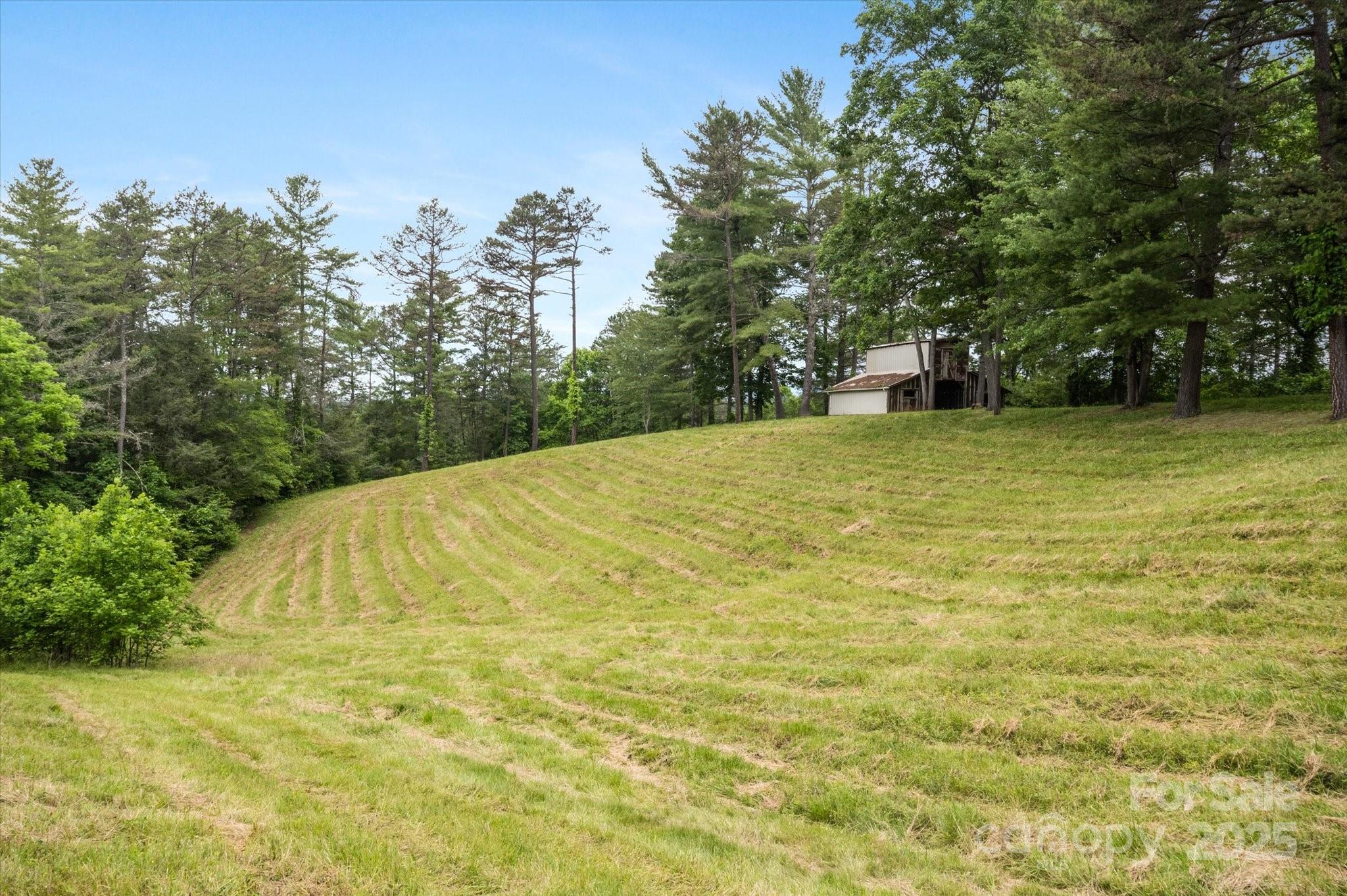 Lot at 942 Paint Fork Road, Mars Hill, photo 43 of 48