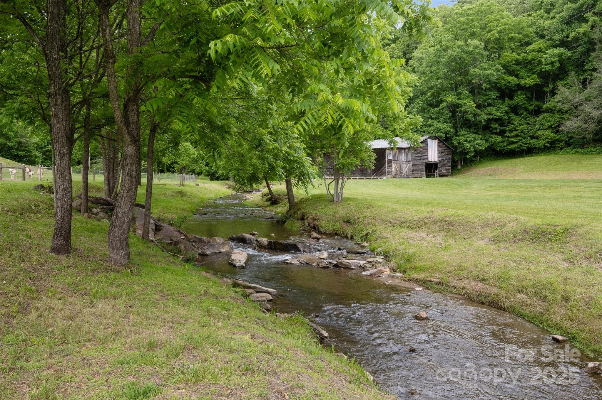 Lot at 942 Paint Fork Road, Mars Hill, photo 44 of 48