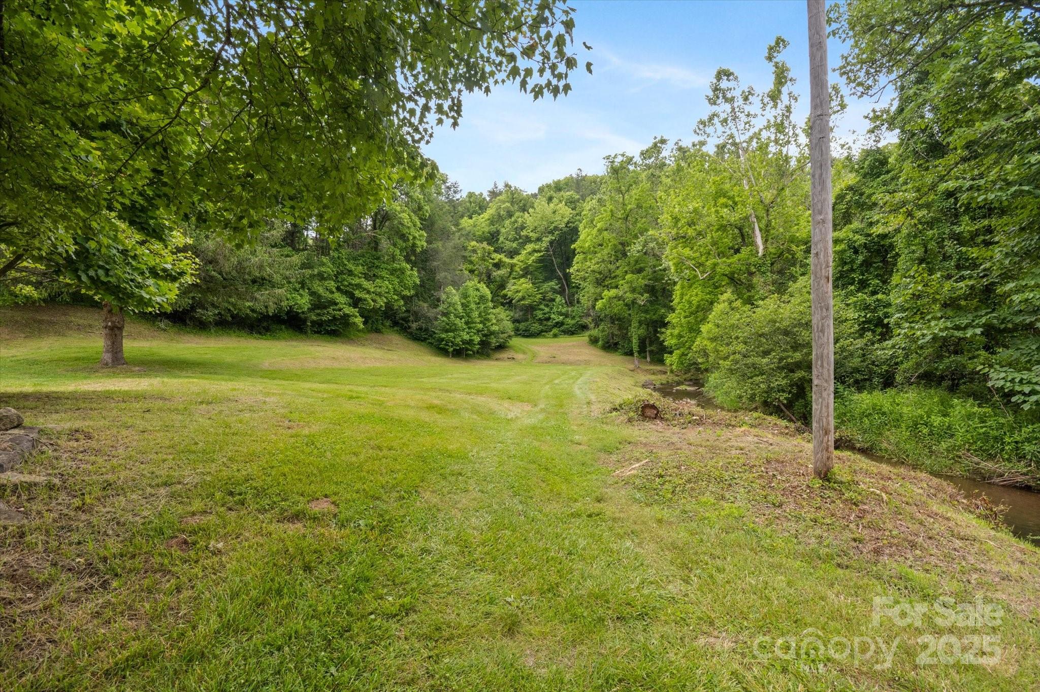 Lot at 942 Paint Fork Road, Mars Hill, photo 46 of 48